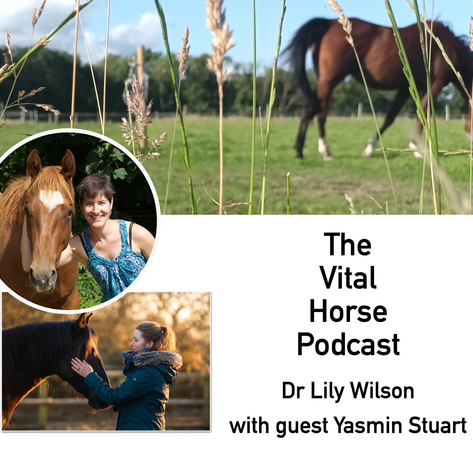 Expectations of our horses with Yasmin Stuart