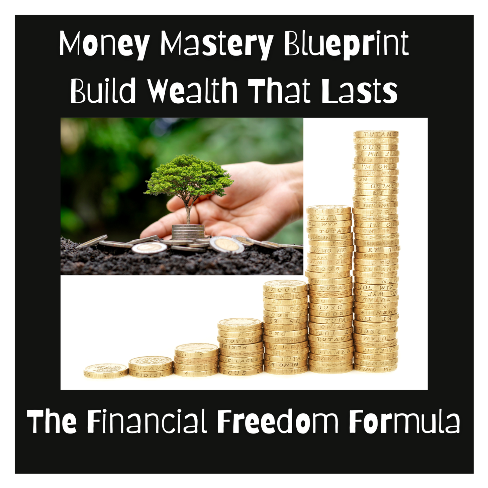 The Financial Freedom Formula:  Steps to Escape the Rat Race