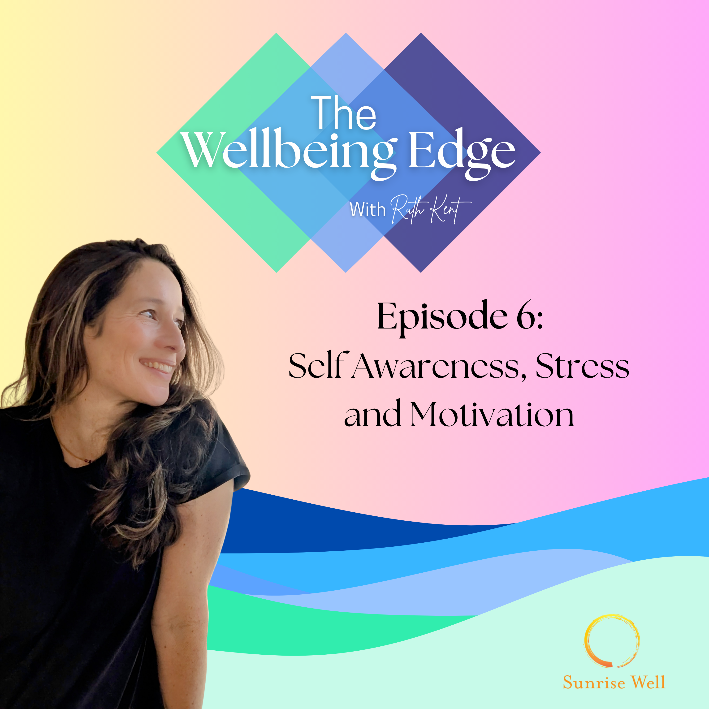 Self Awareness, Stress, and Motivation episode artwork