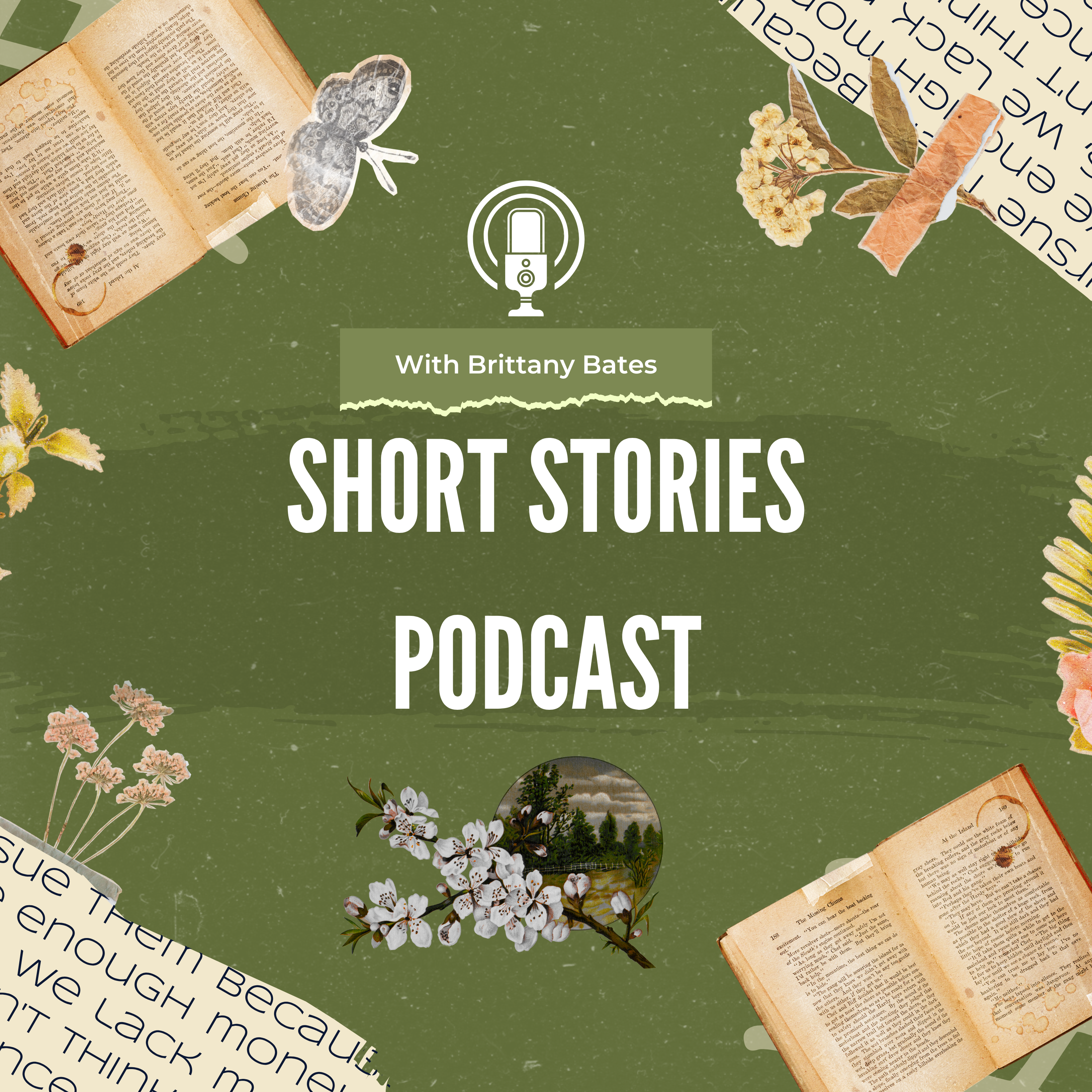 Short Stories Podcast podcast artwork