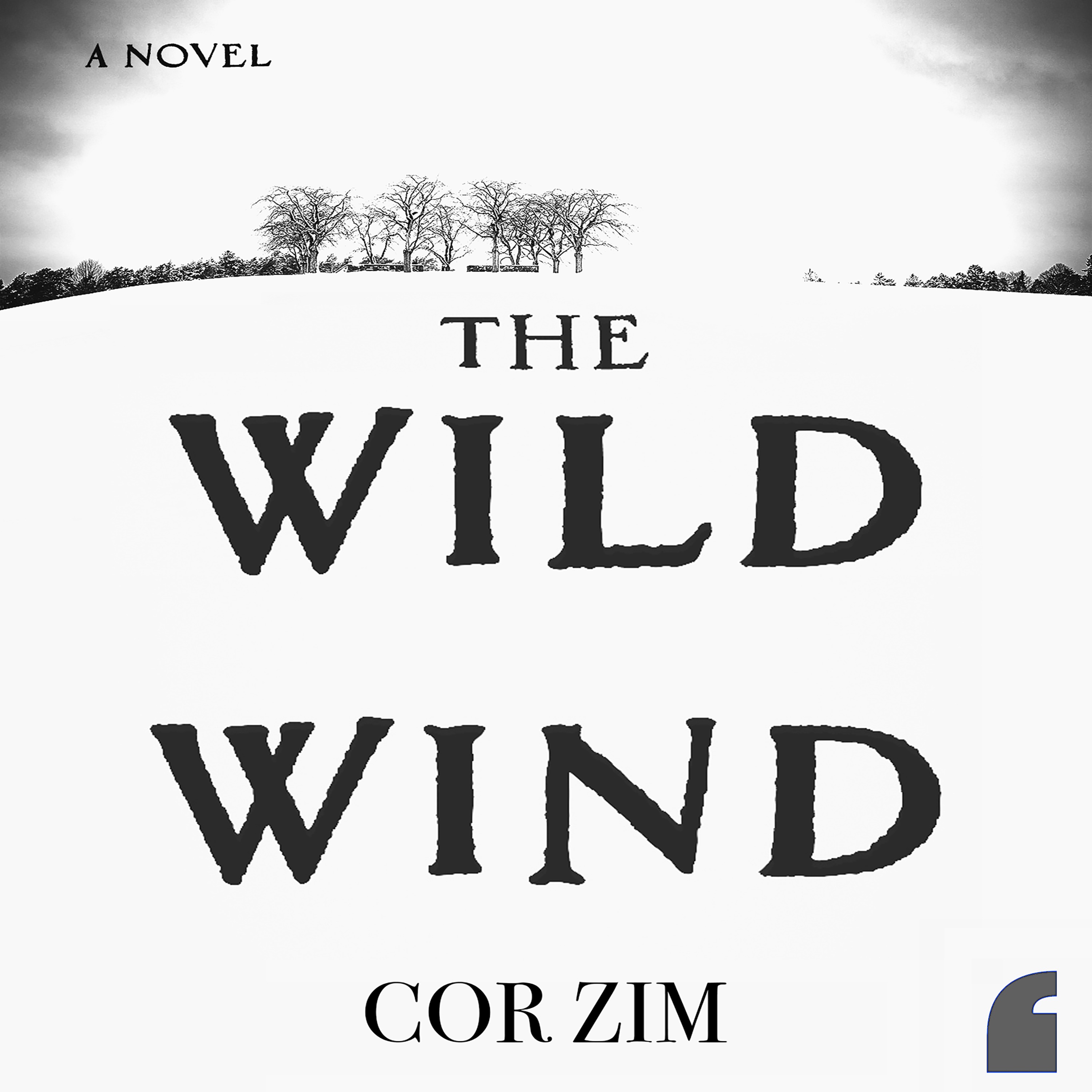 THE WILD WIND | An American Gothic Tale by Cor Zim