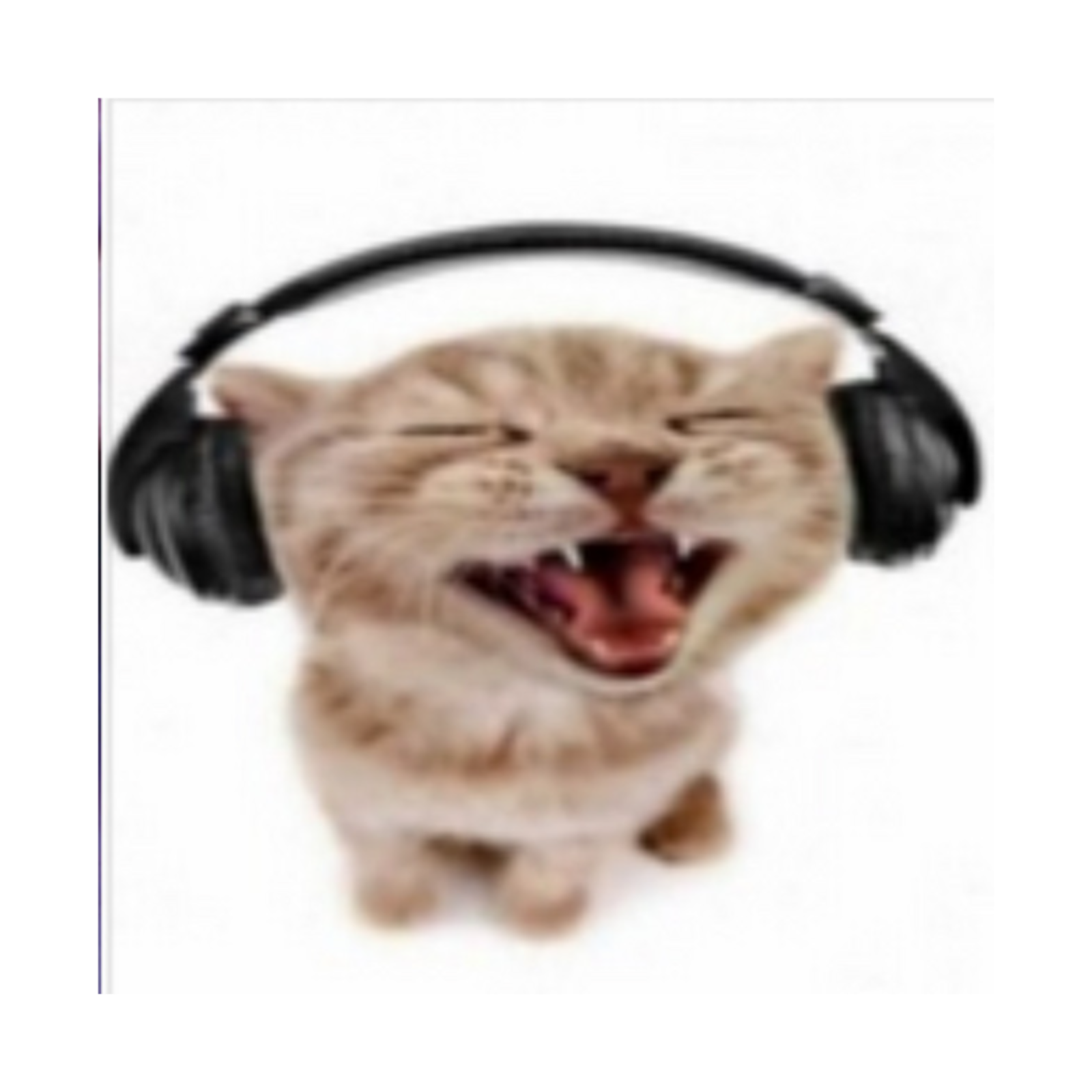 The WMS Pawdcast cover art