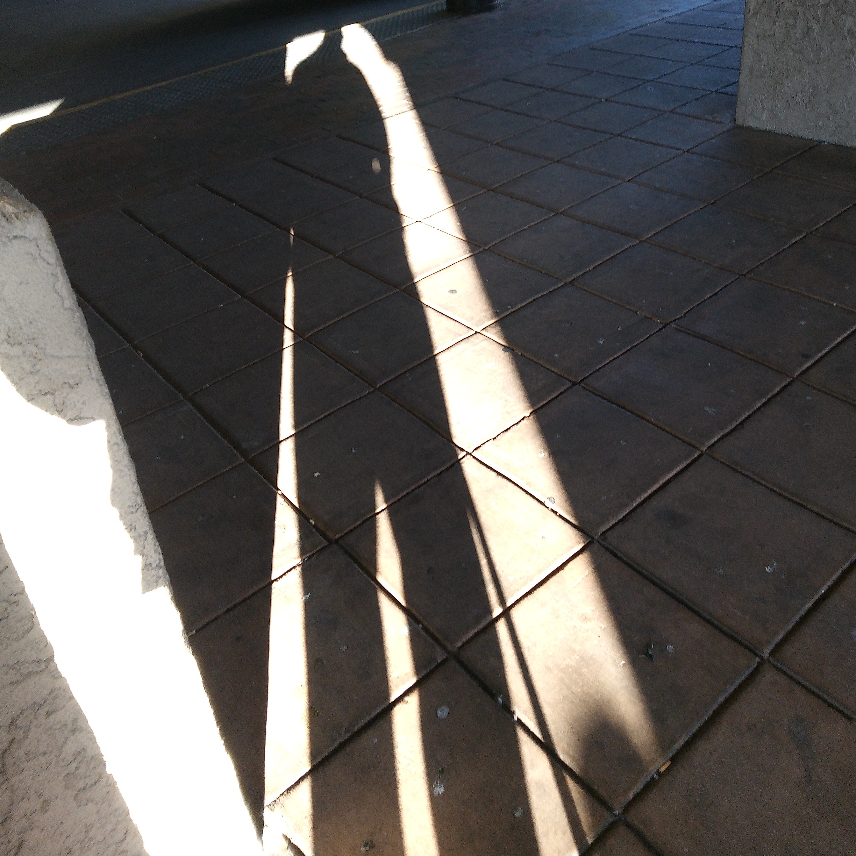 The World Called Fantasy cover art