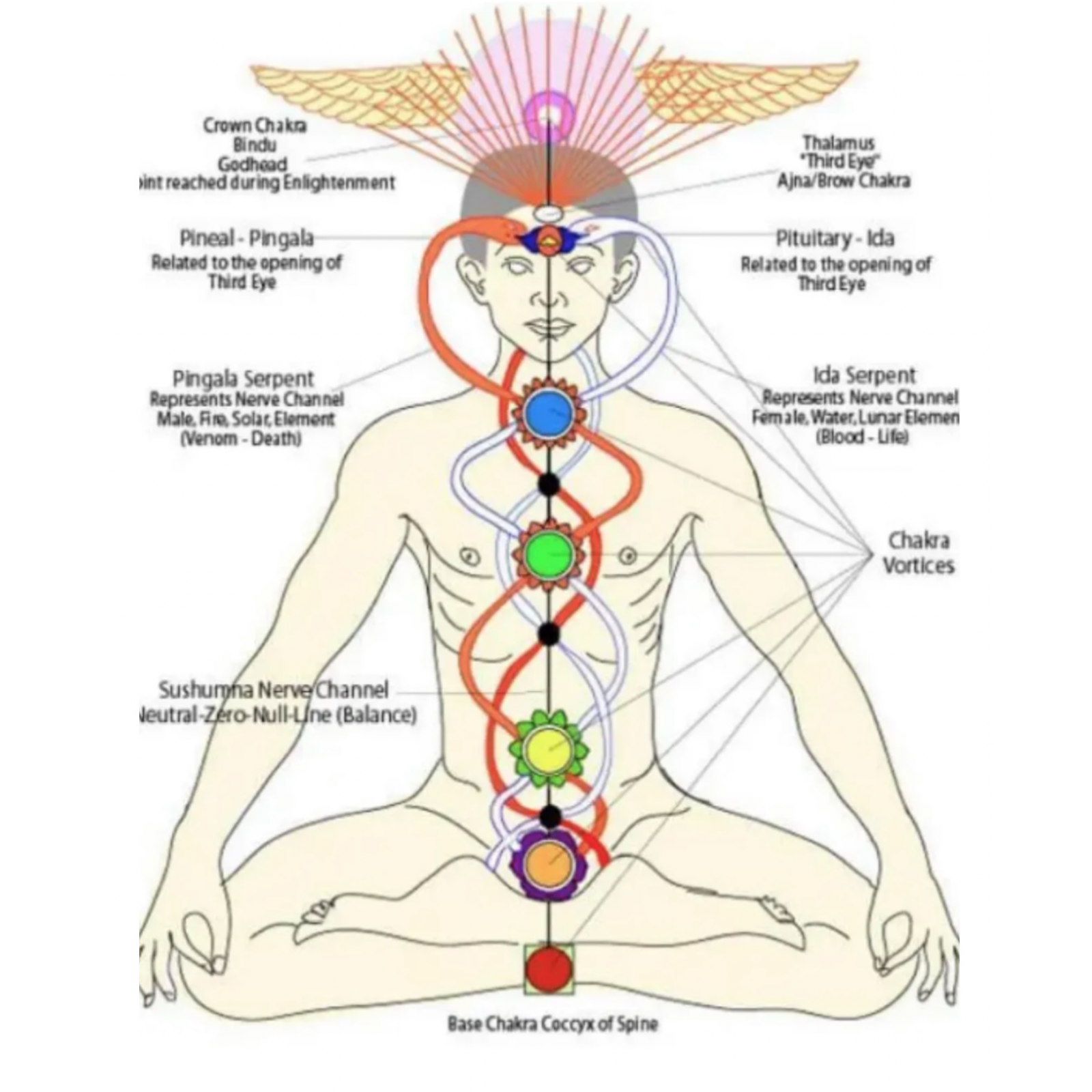 The Yin Fairy:: ••  EPISODE 777: Intuitive openings for your voice  episode artwork