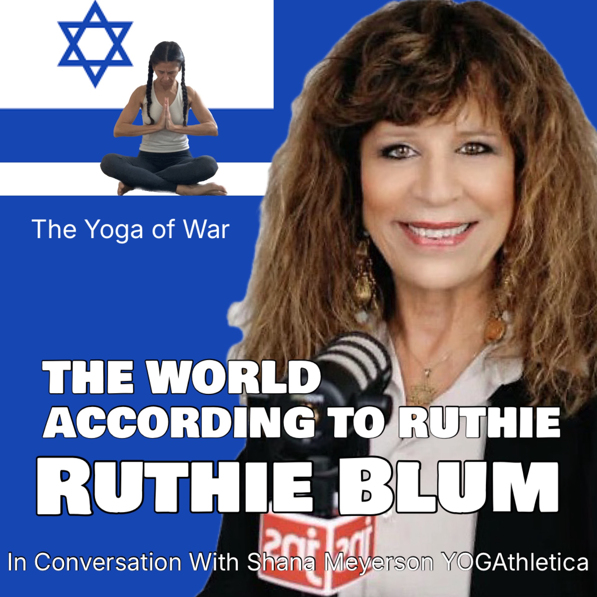 Ruthie Blum | Israel Explained Undiplomatically | Israel Hamas War | Conversation w/Shana Meyerson