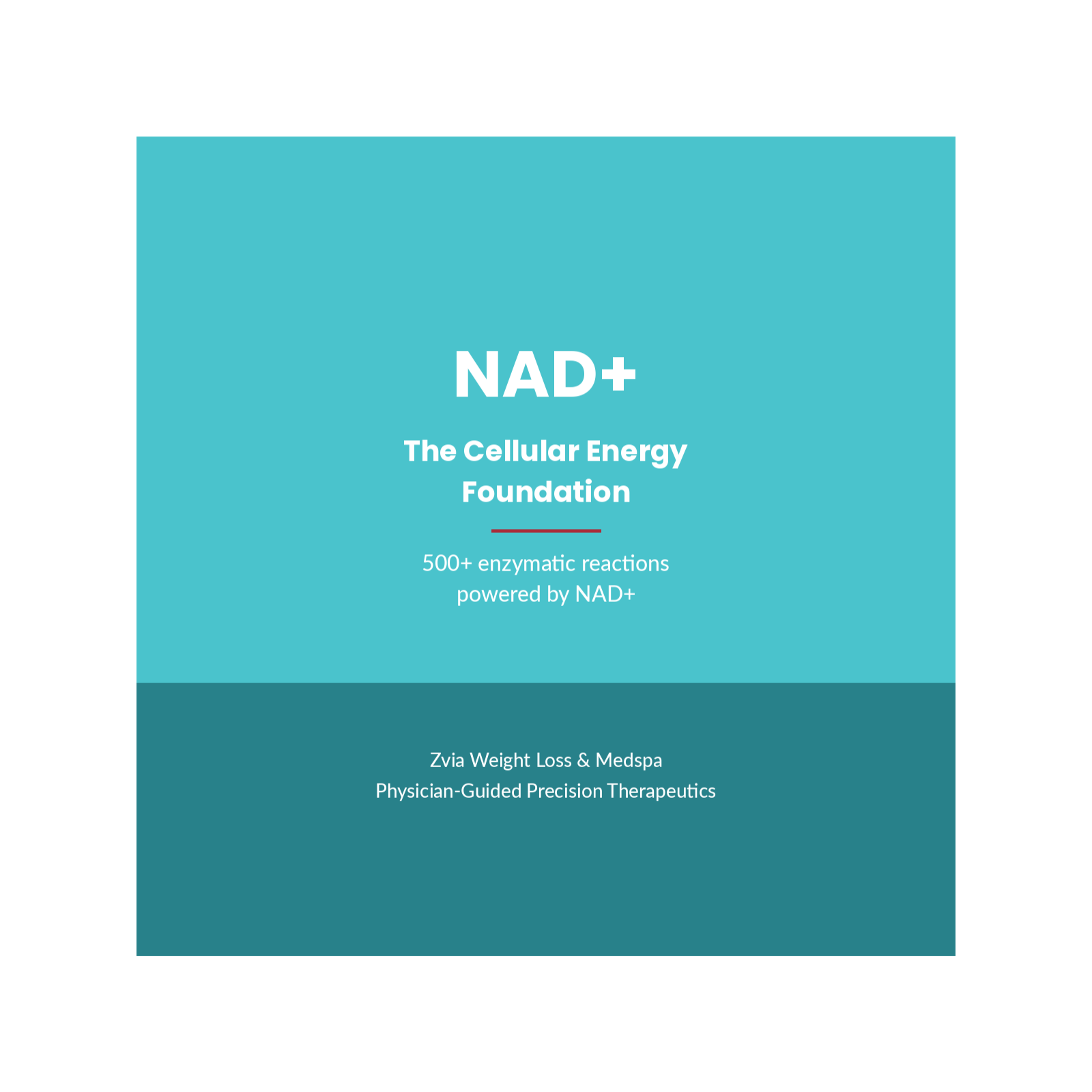 NAD+: The Cellular Energy Foundation
