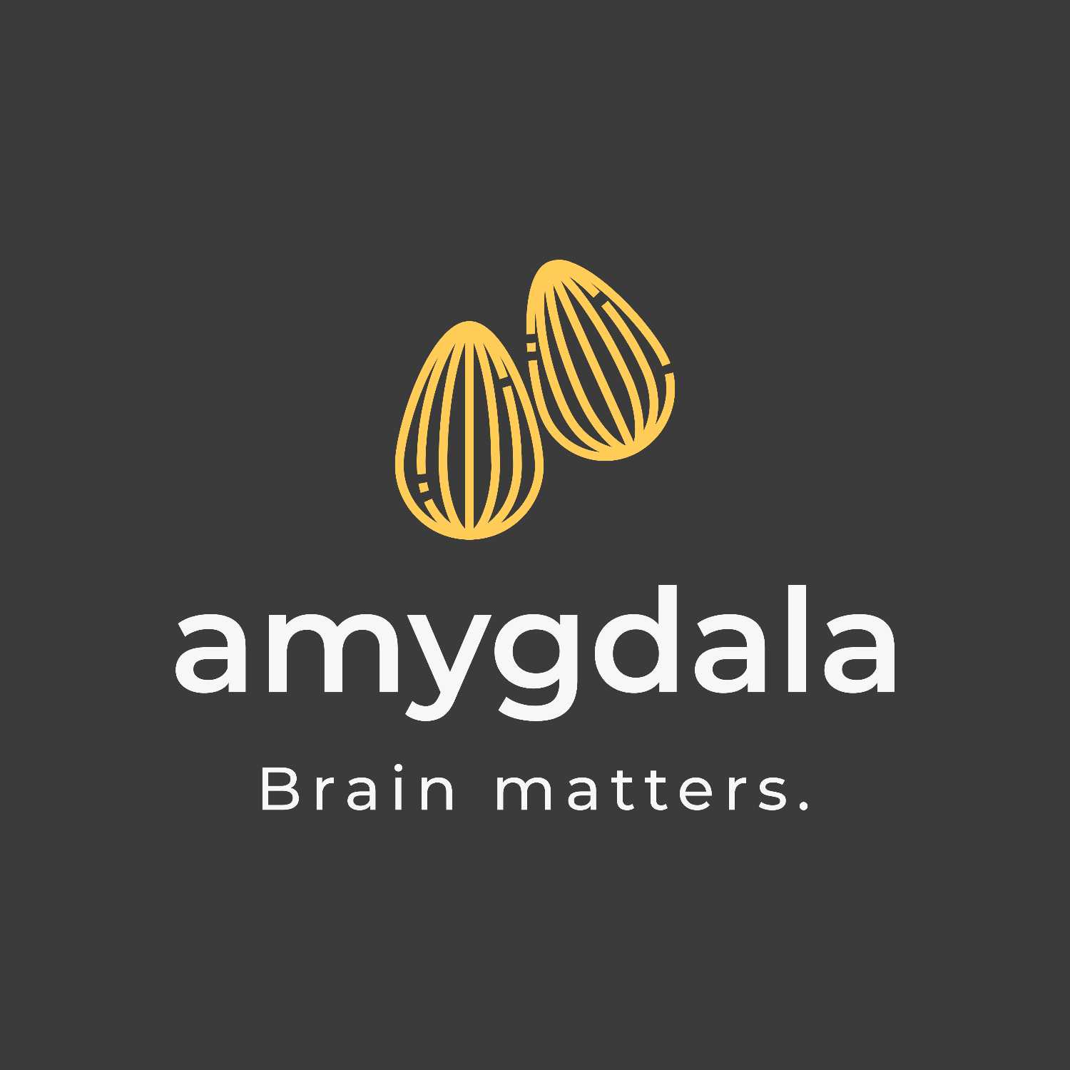 The Amygdala Podcast