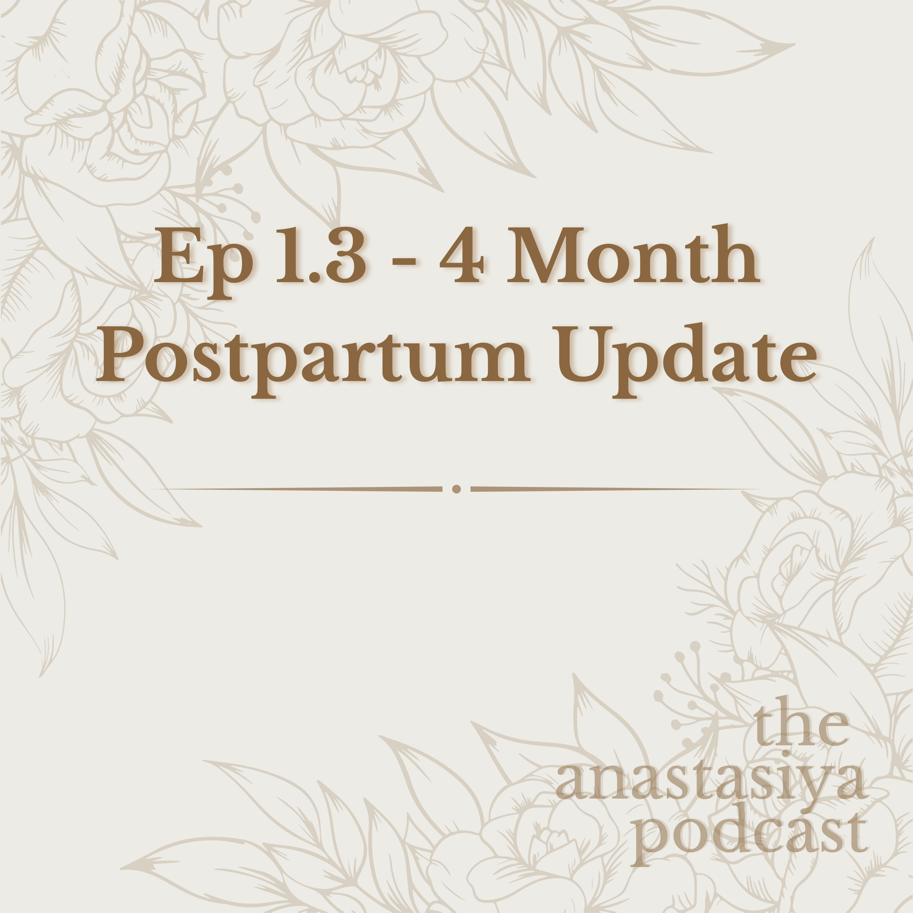 Ep 1.3 - 4 Month Postpartum Update episode artwork