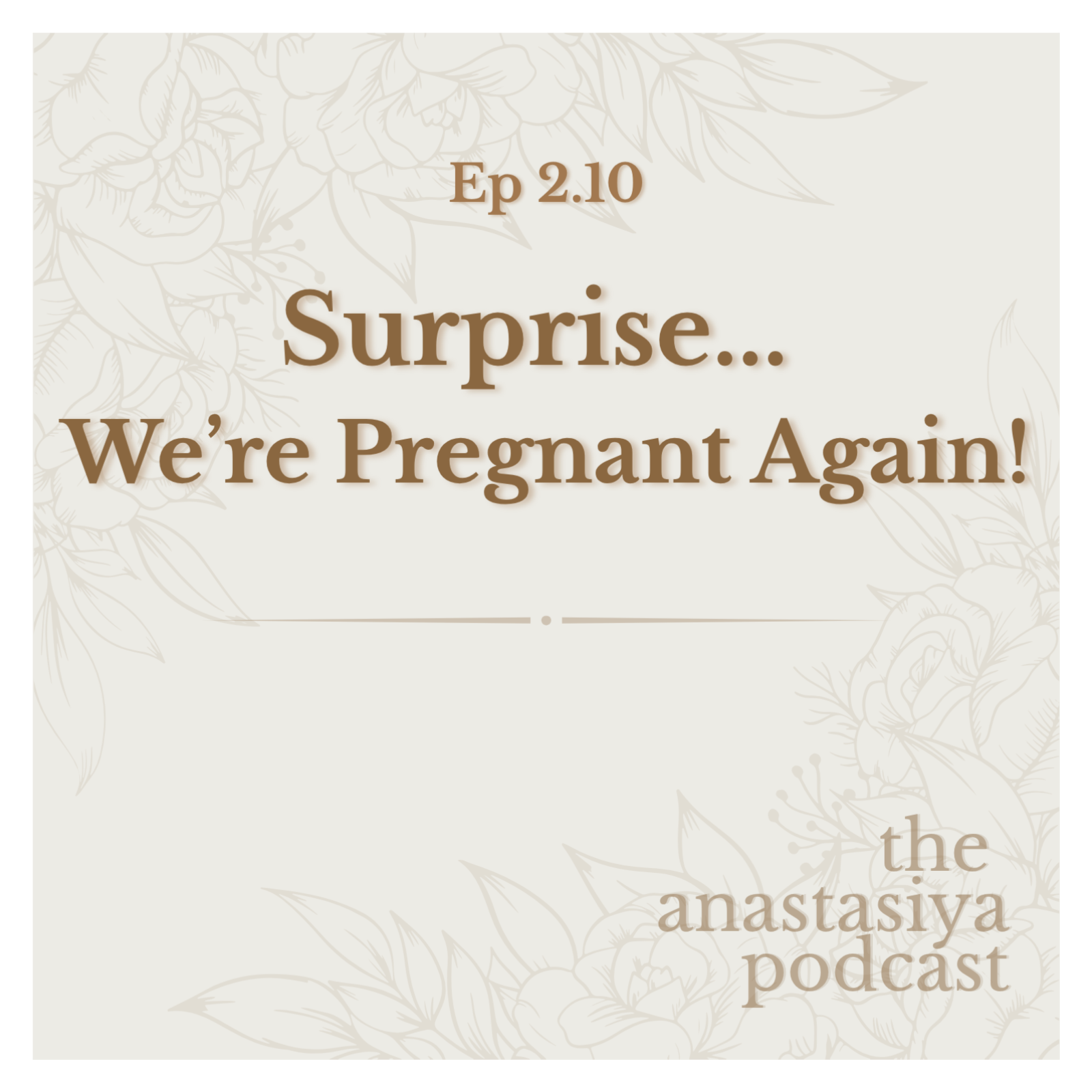 Ep 2.10 - Surprise... We're Pregnant Again! episode artwork