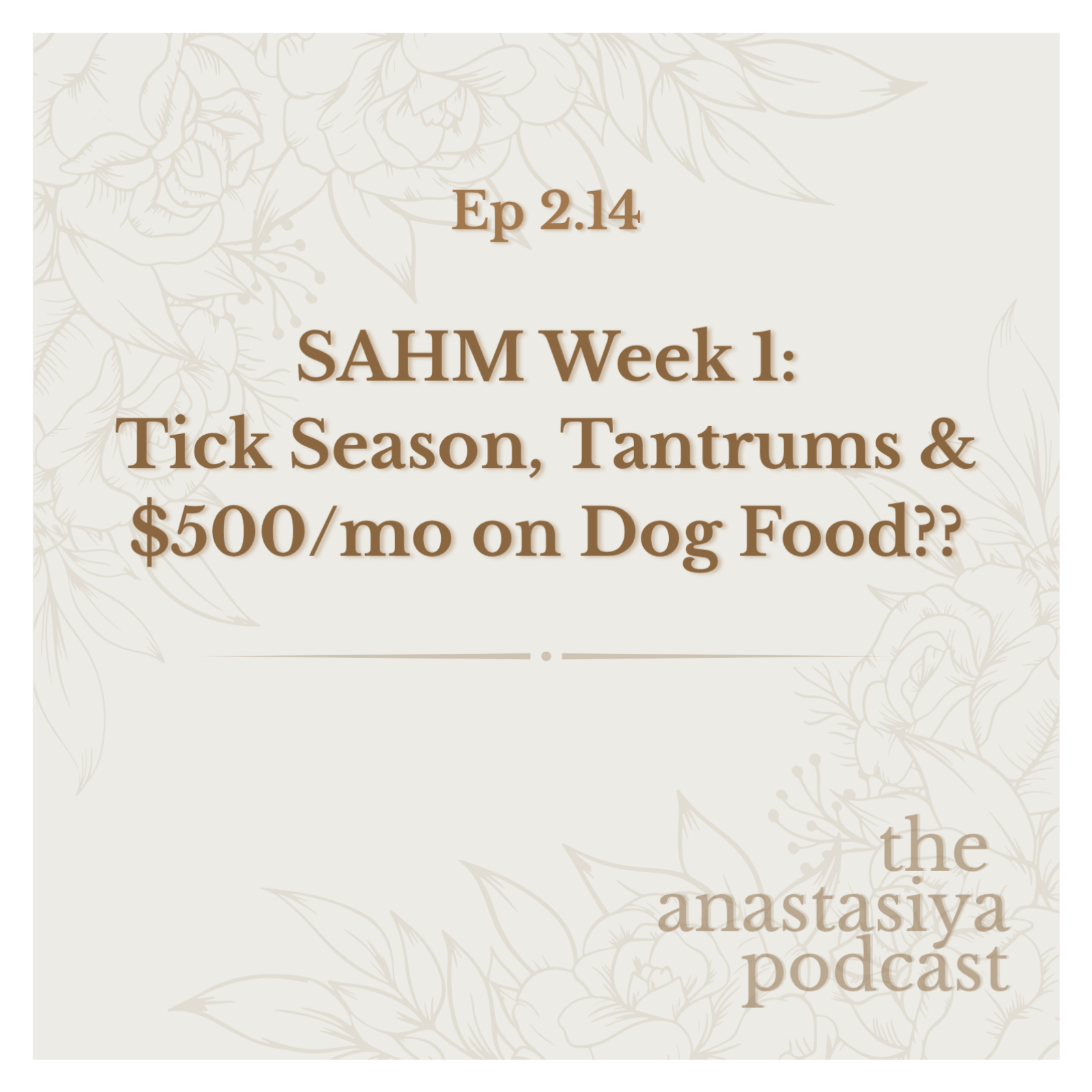 Ep 2.14 - SAHM Week 1: Tick Season, Tantrums & $500/mo on Dog Food?? episode artwork