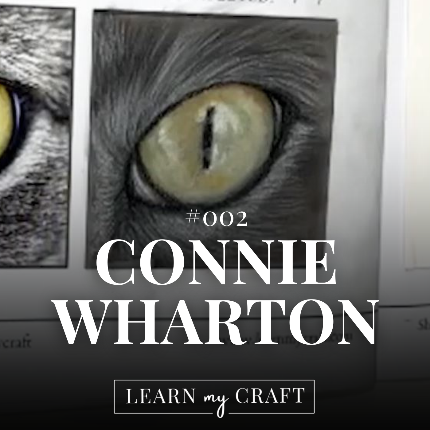 Pastel vs Coloured Pencil - #002 - Connie Wharton