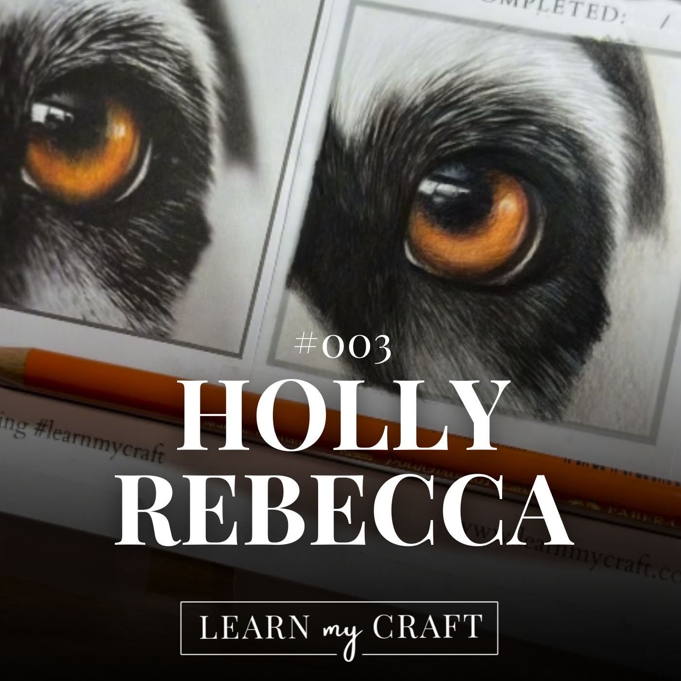 The Best Kept Secret In Animal Art - #003 - Holly Rebecca