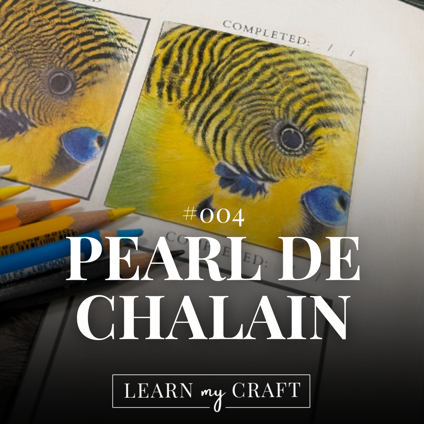 The Best Way To Draw Feathers - #004 Pearl De Chalain