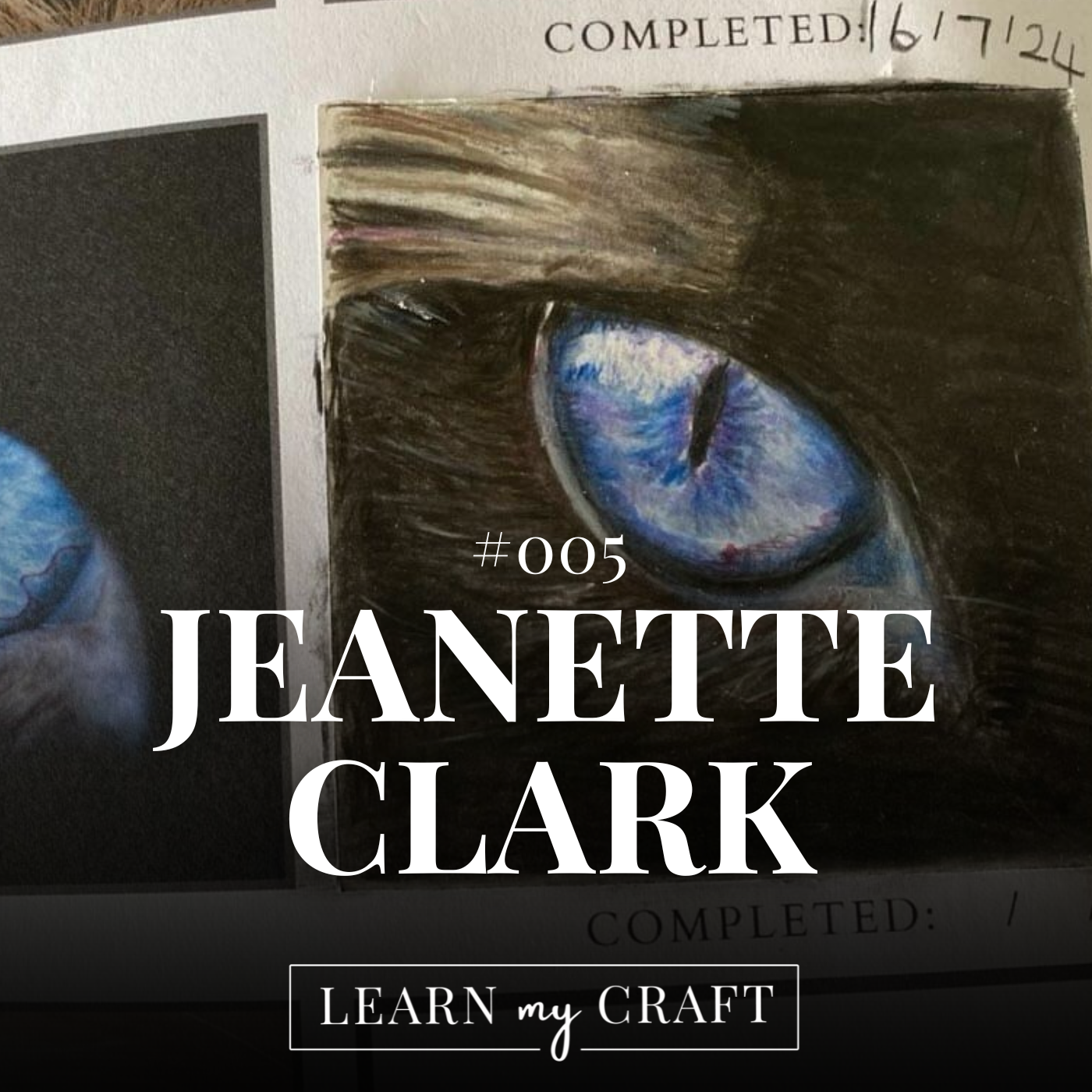 The Difference Between Drawing Pets And Wildlife - #005 - Jeanette Clarke 