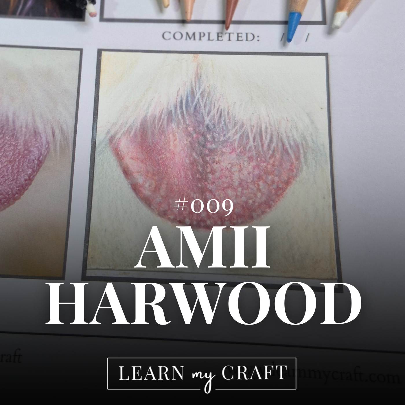 The Best Set Up For Filming Your Artwork - #009 - Amii Harwood