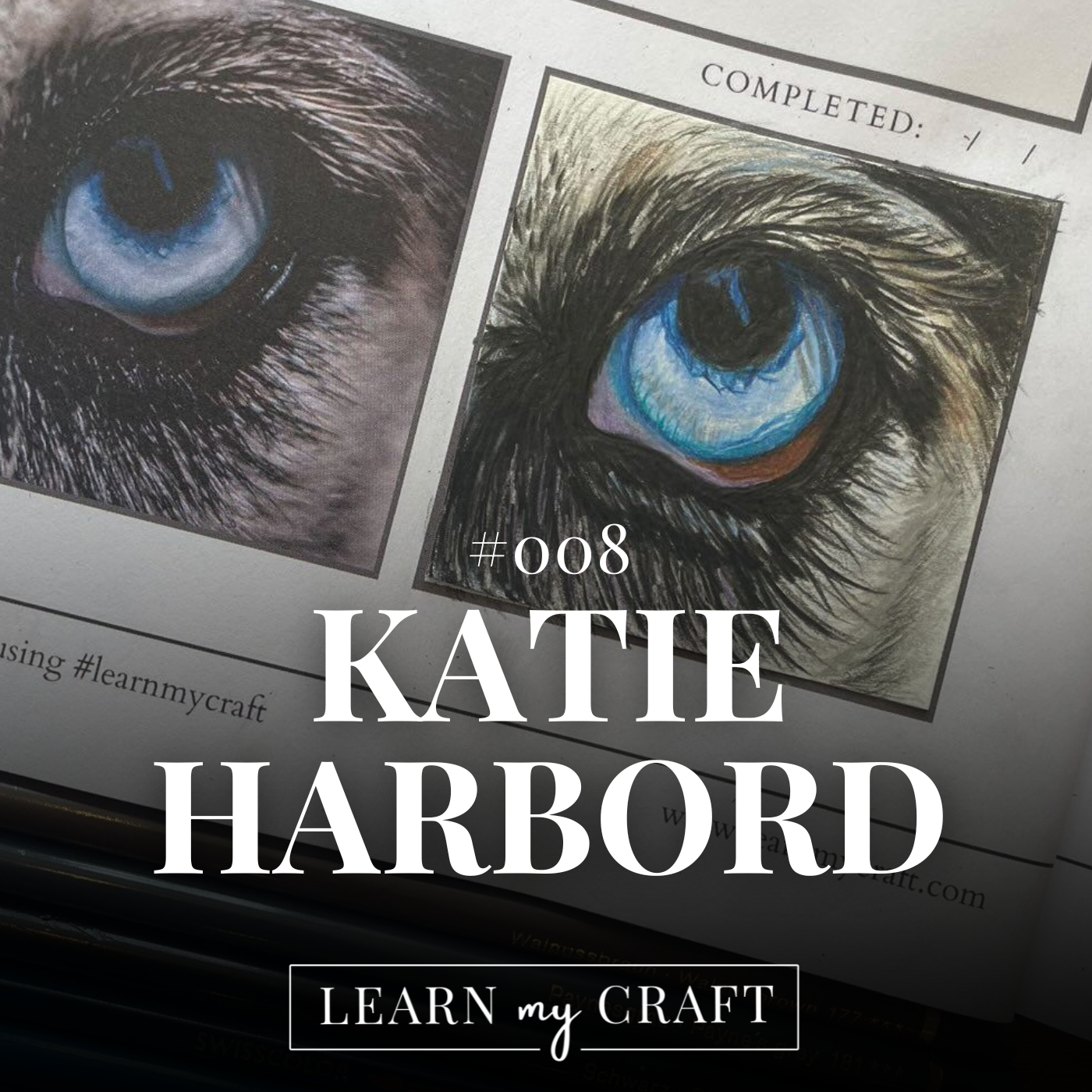 How To Get Started As A Beginner - #008 - Katie Harbord