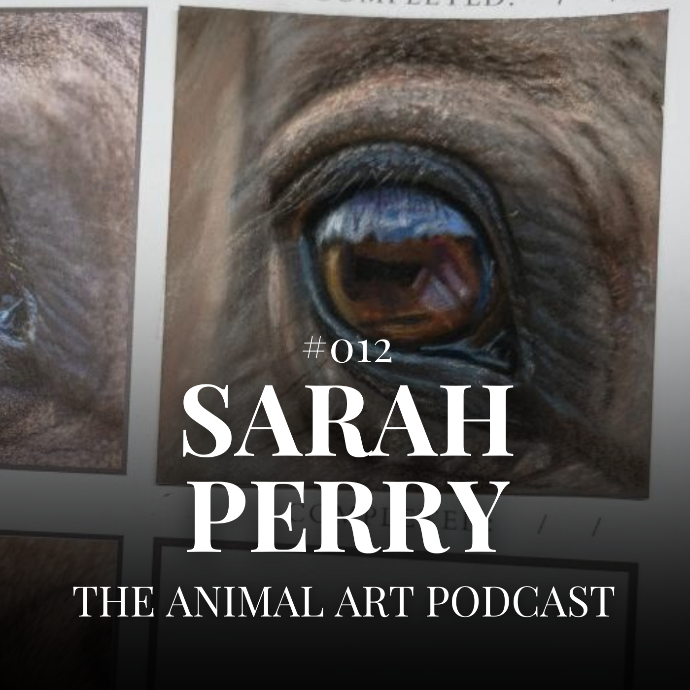 Experiment To Find Your Artistic Style - #012 - Sarah Perry