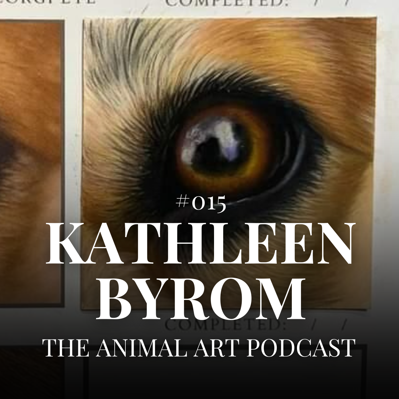 Working With Challenging Reference Photos - #015 - Kathleen Byrom