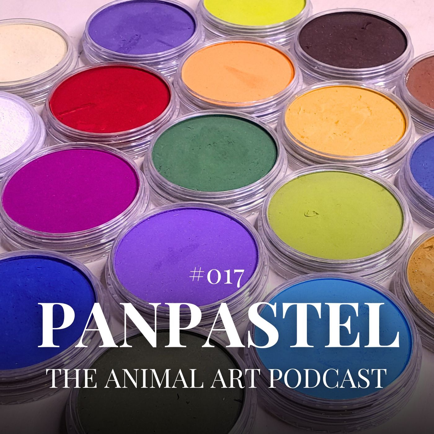 Everything You Didn't Know About PanPastel - #017 - Sema Martin