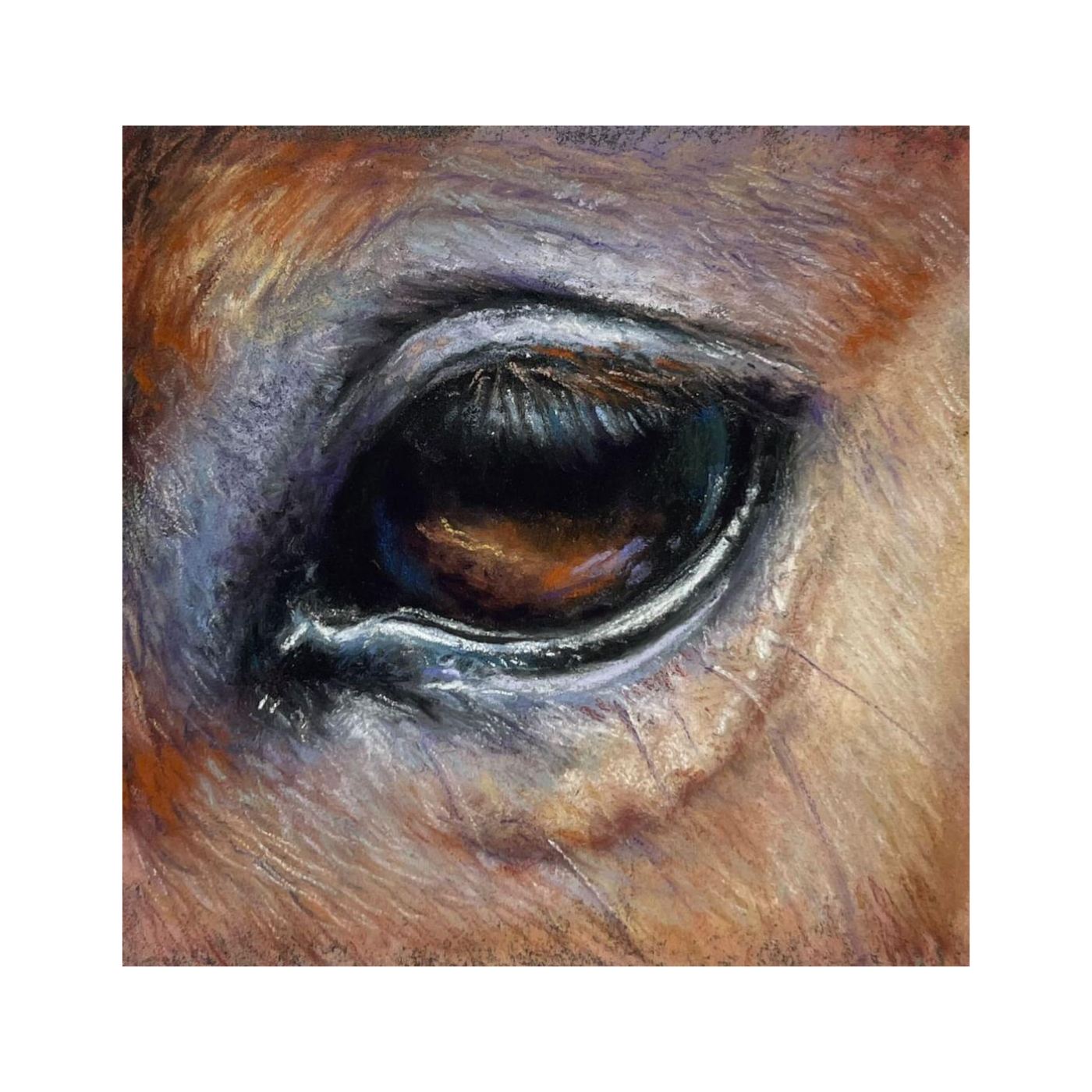 Mastering Animal Portraiture with Andrea Gianchiglia episode artwork
