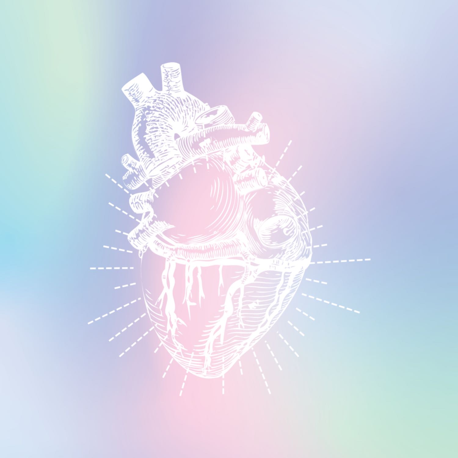 Conectándonos con la sabiduría de nuestro Corazón Conectándonos con la sabiduría de nuestro Corazón