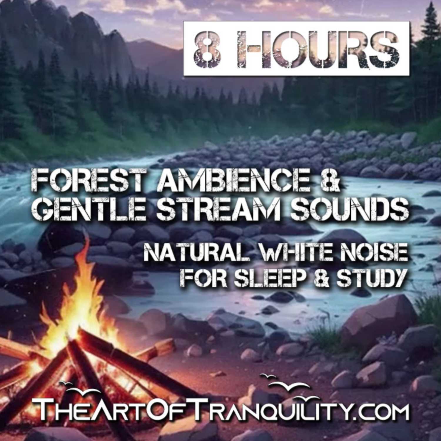 FOREST AMBIENCE & GENTLE STREAM SOUNDS | Drift Off Gently With Soothing Nature Sounds | 8 hrs episode artwork