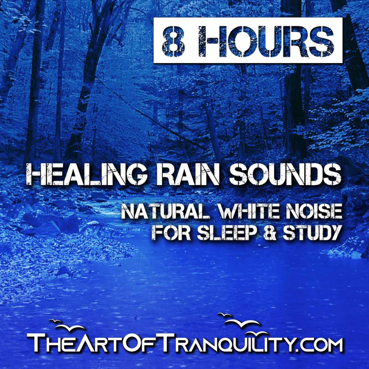HEALING RAIN SOUNDS FOR DEEP SLEEP | Natural White Noise for Study & Sleep | 8 Hrs  episode artwork
