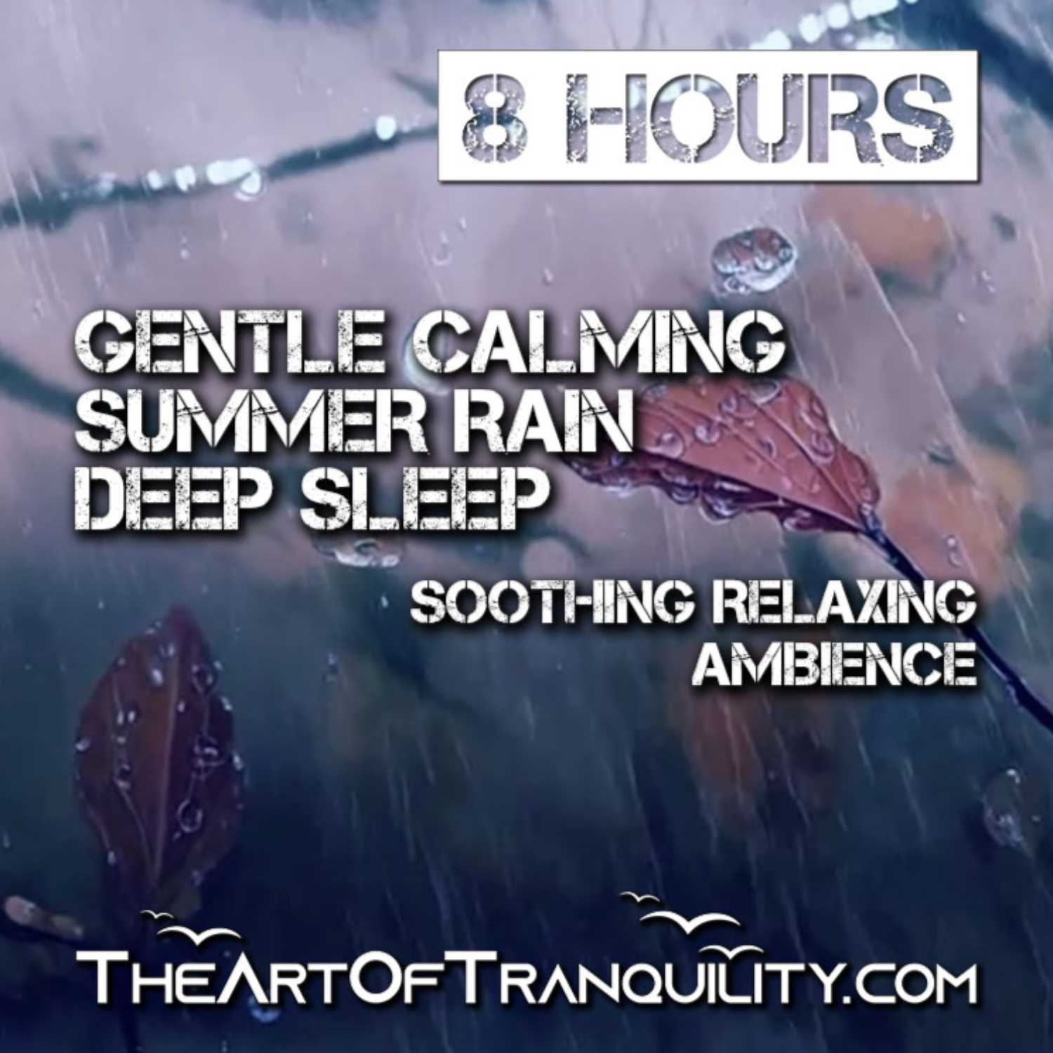 GENTLE CALMING SUMMER RAIN DEEP SLEEP | Soothing Relaxing Ambiance, | 8 Hrs episode artwork