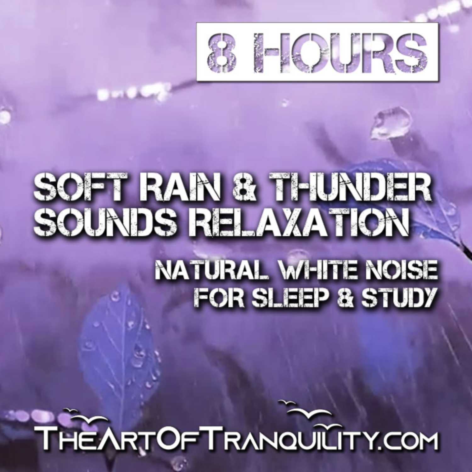 SOFT RAIN & THUNDER SOUNDS FOR RELAXATION AND SLEEP | Calm, Focus, Deep Sleep | 8 Hrs episode artwork