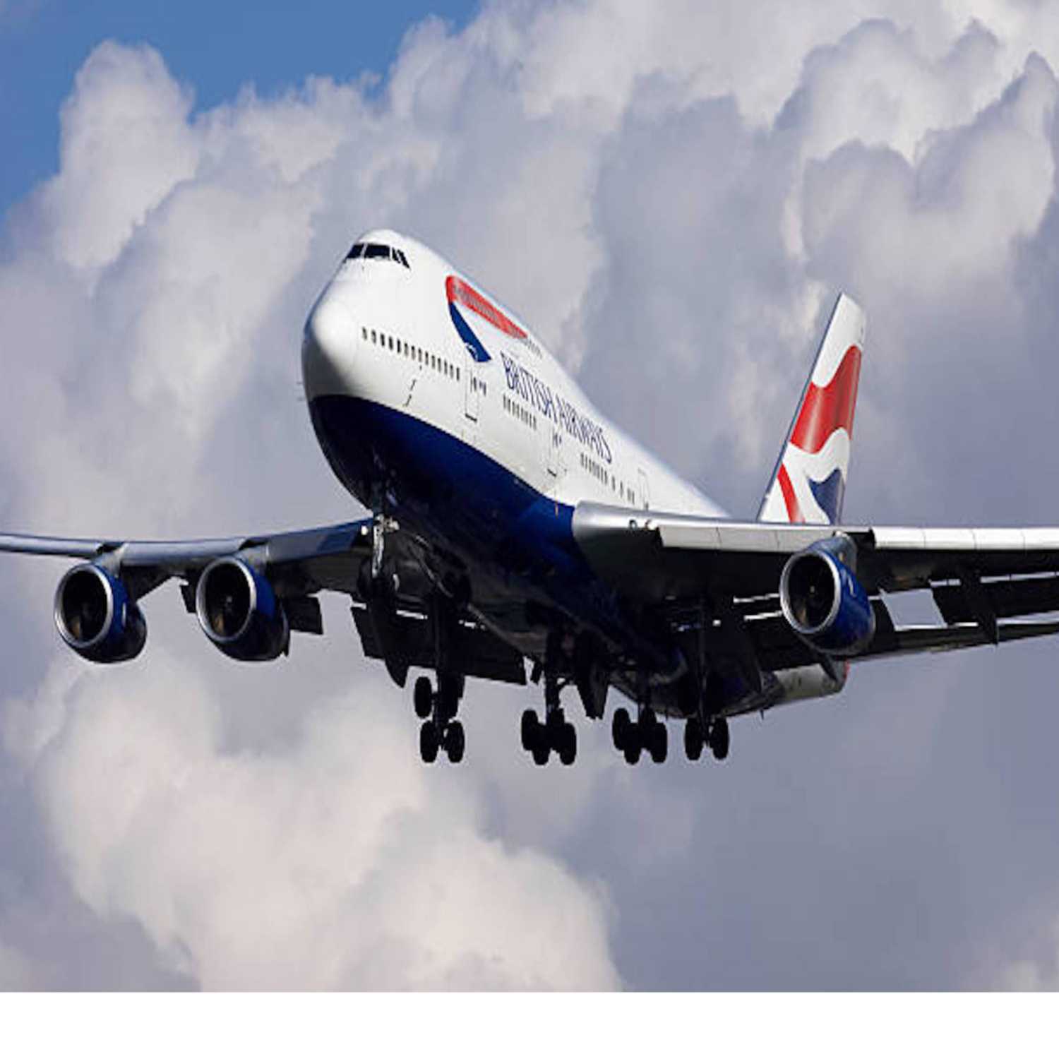 The Aviation Bean