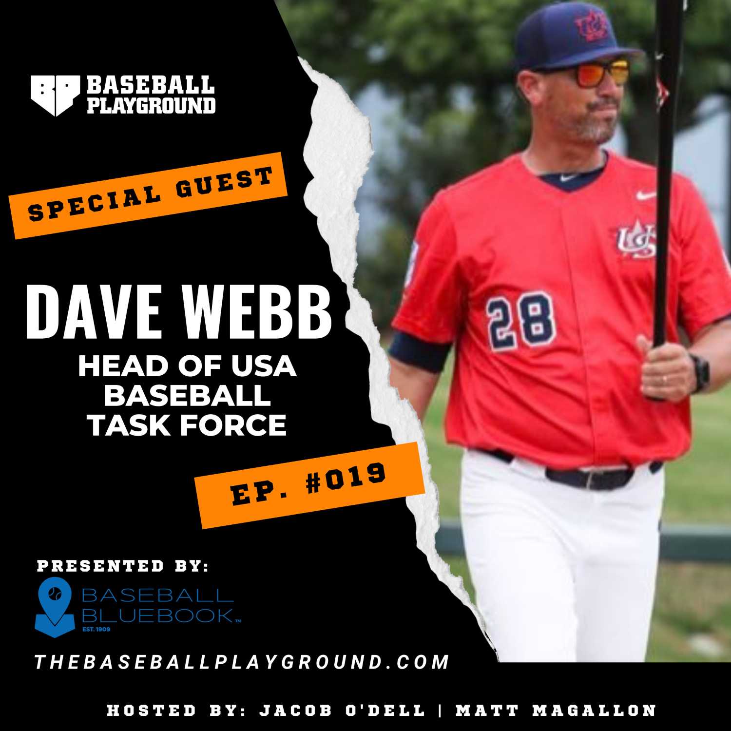 How to become a USA Champion w/ Dave Webb - Head of USA Baseball Task Force
