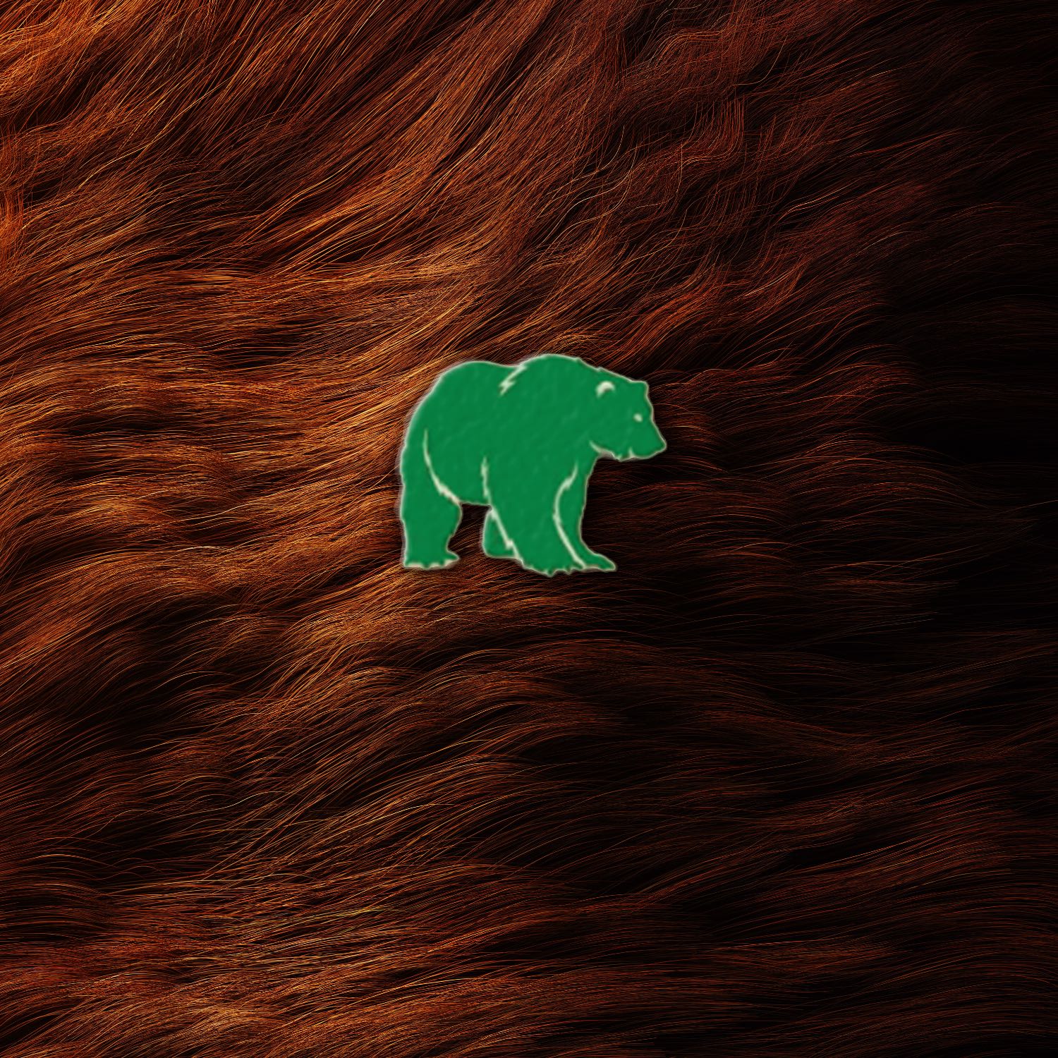 The Bear's Den Trading Podcast