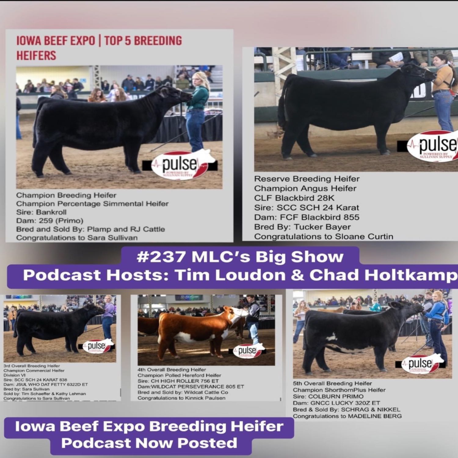 #237 : Iowa Beef Expo Breeding Heifer Podcast With Chad Holtkamp & Tim ...