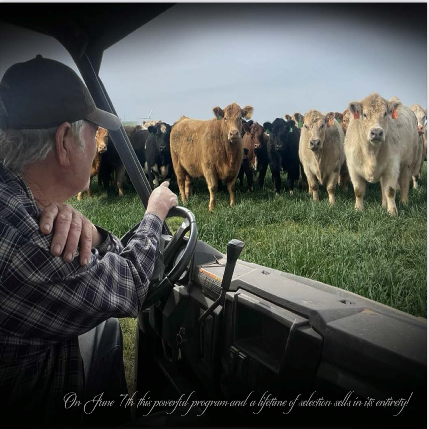 “MLC’s Big Show”   #NewsFrom #TheRoad #AgBasedPodcasting