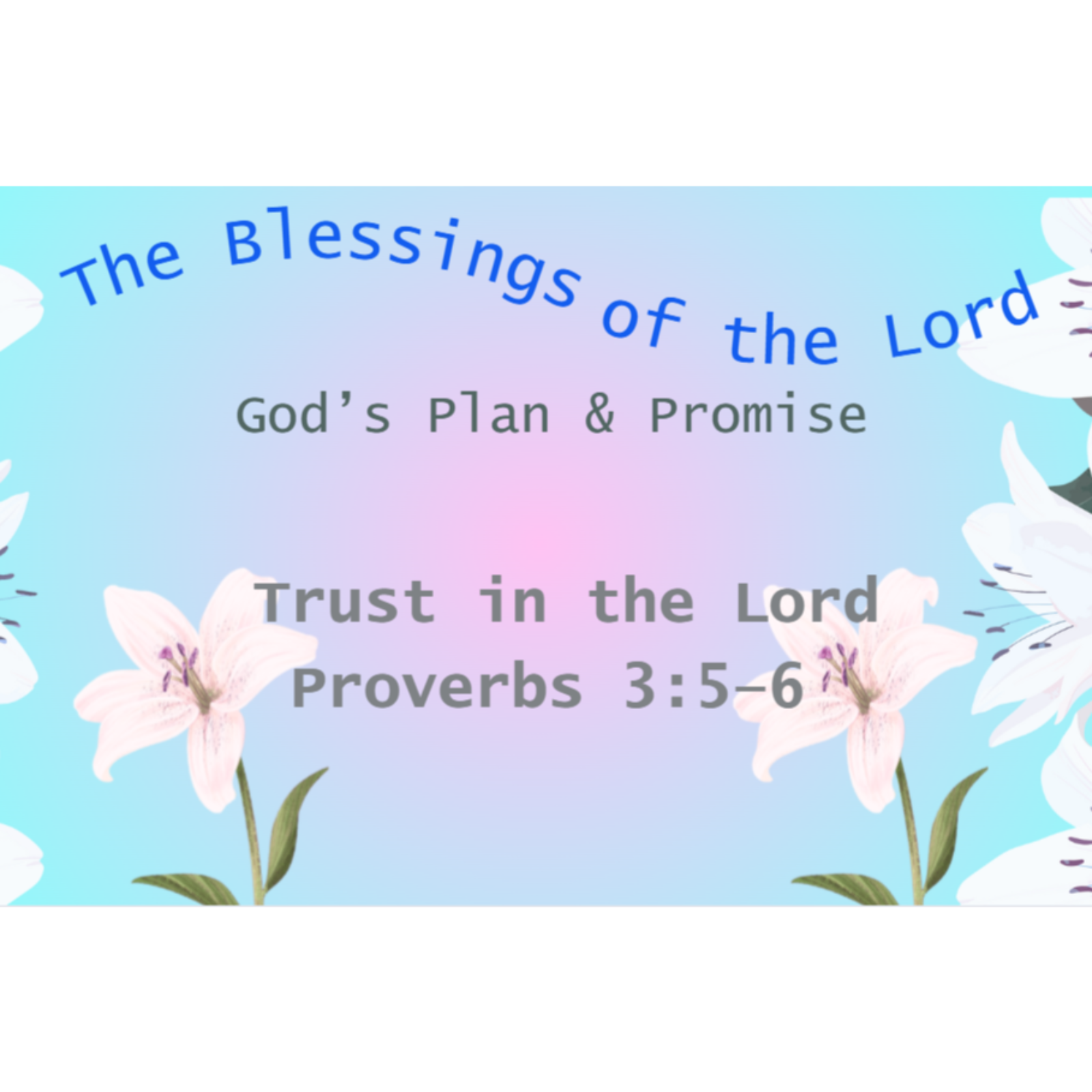 God’s Plan & Promise // Trust in the Lord