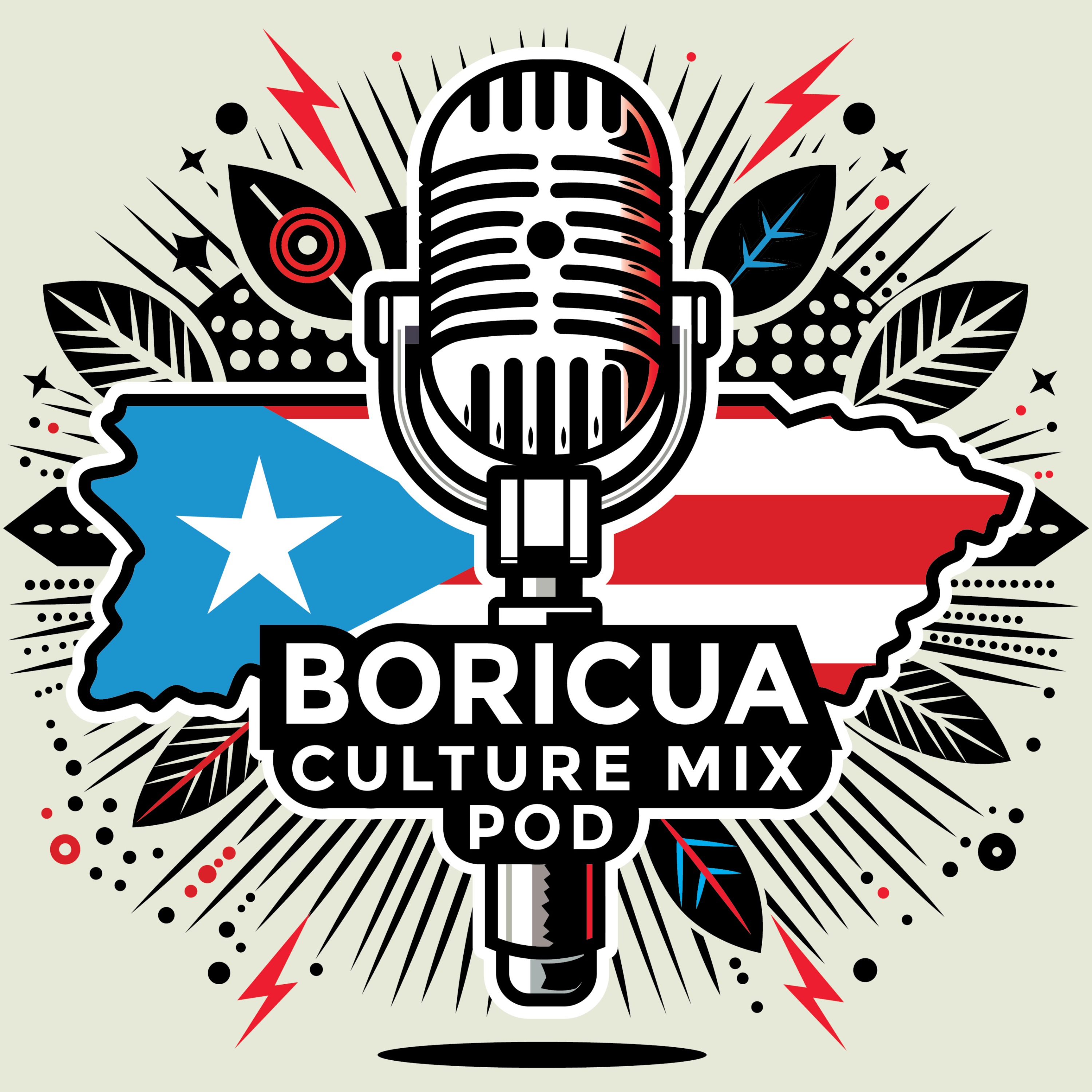 The Boricua Culture Mix