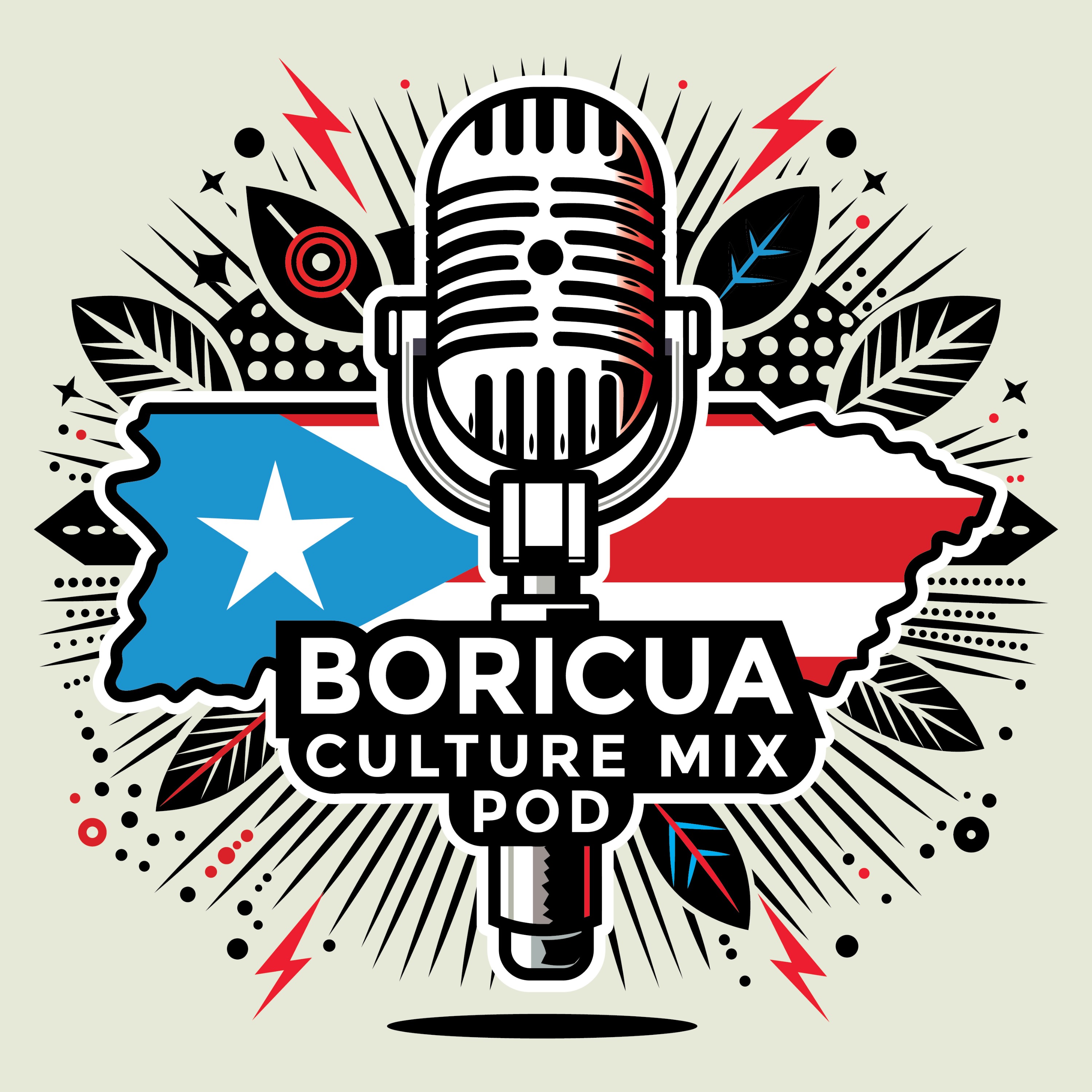 The Boricua Culture Mix