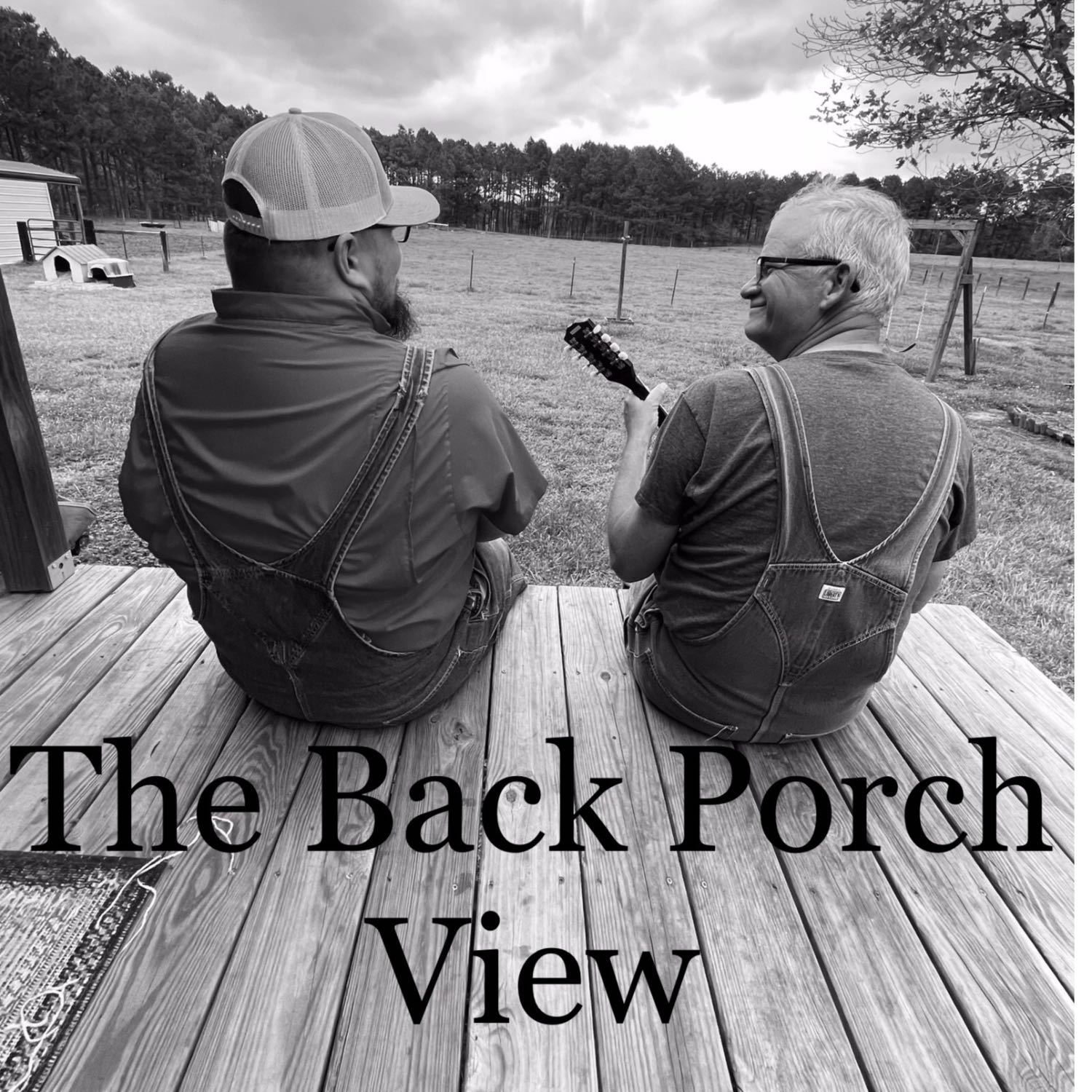 The Back Porch View podcast artwork