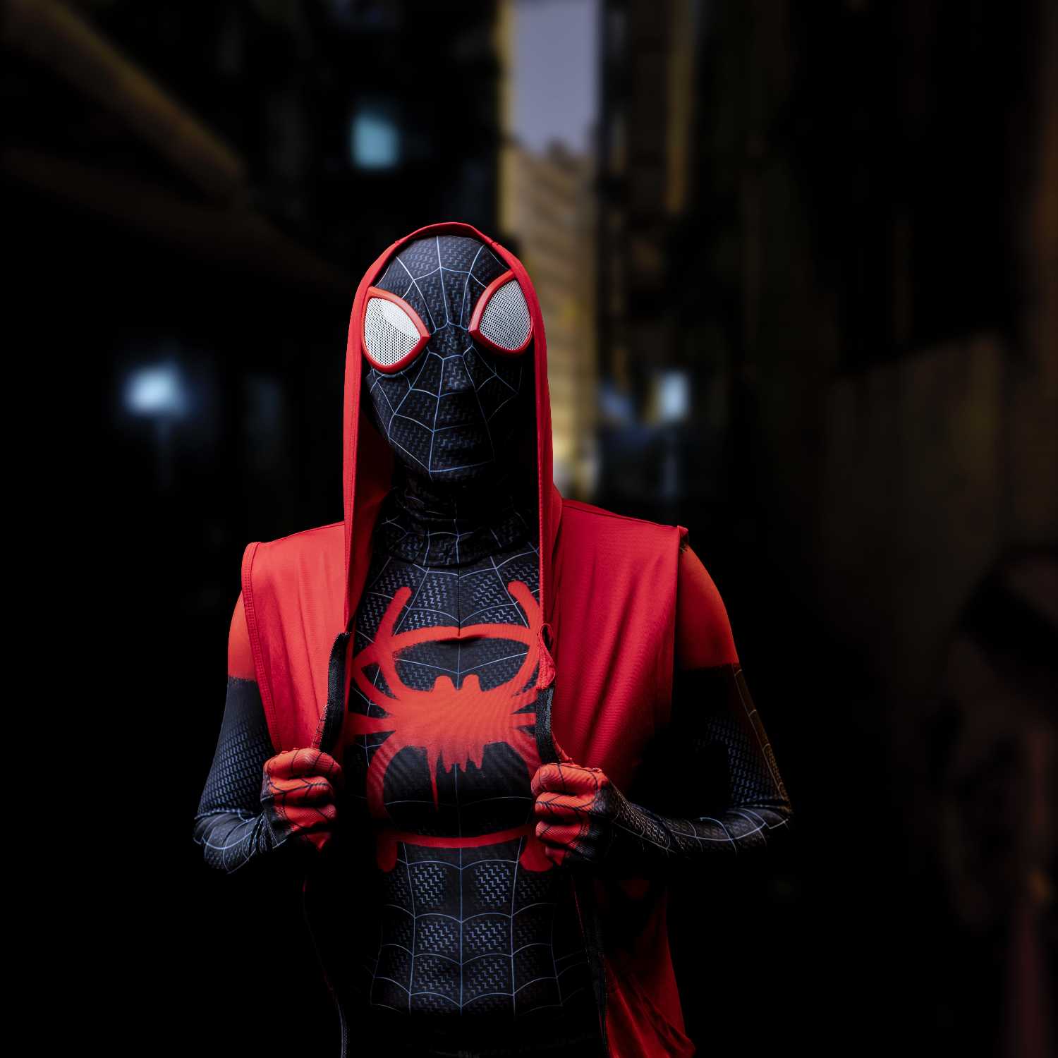 The Amazing Spider-Man 2 and Spider-Man Into the Spider-verse