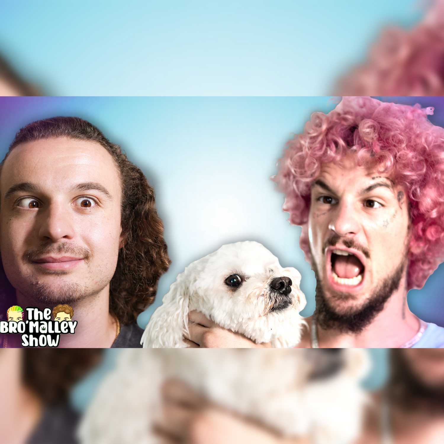 The BrOMalley Show