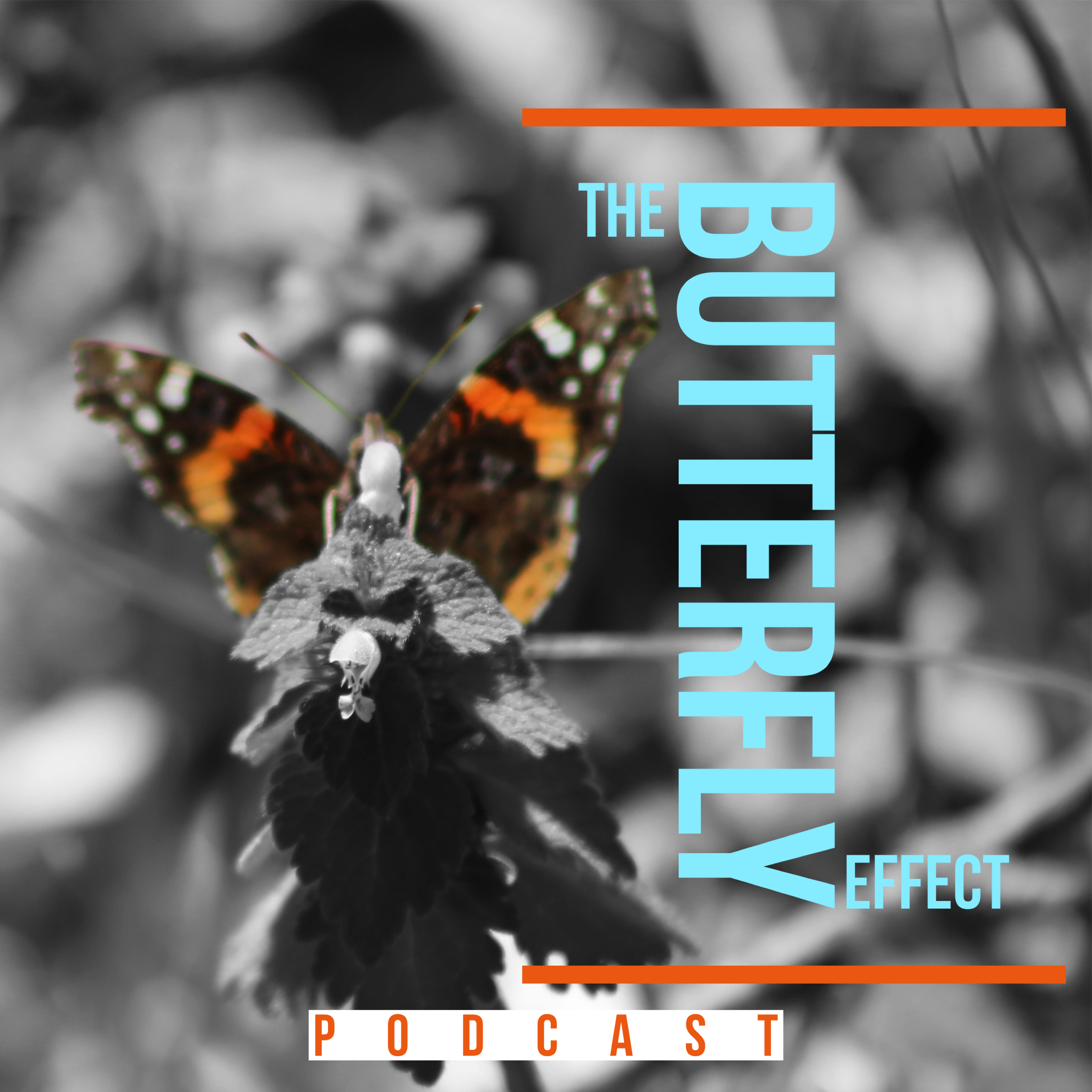The Butterfly Effect
