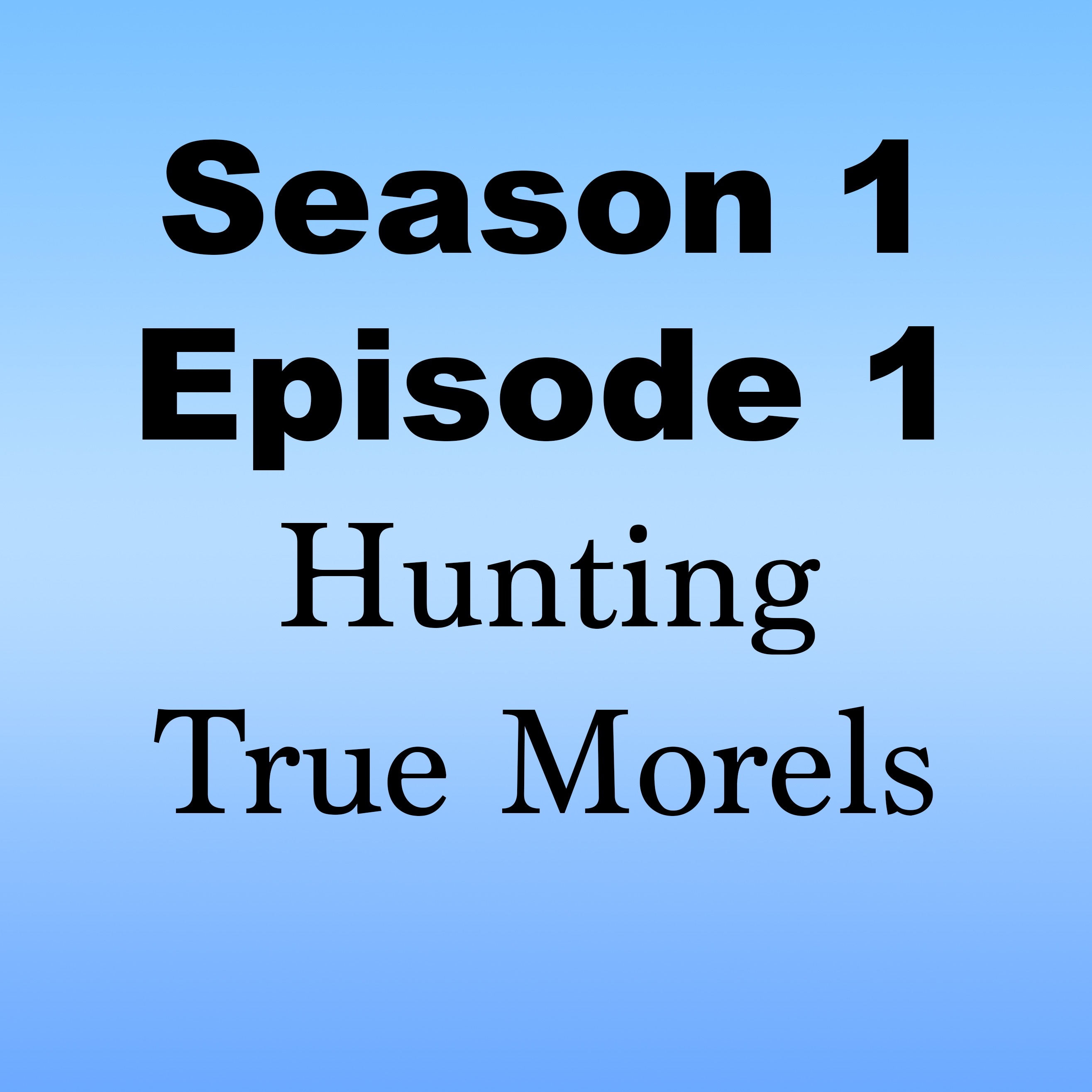 Hunting True Morels episode artwork
