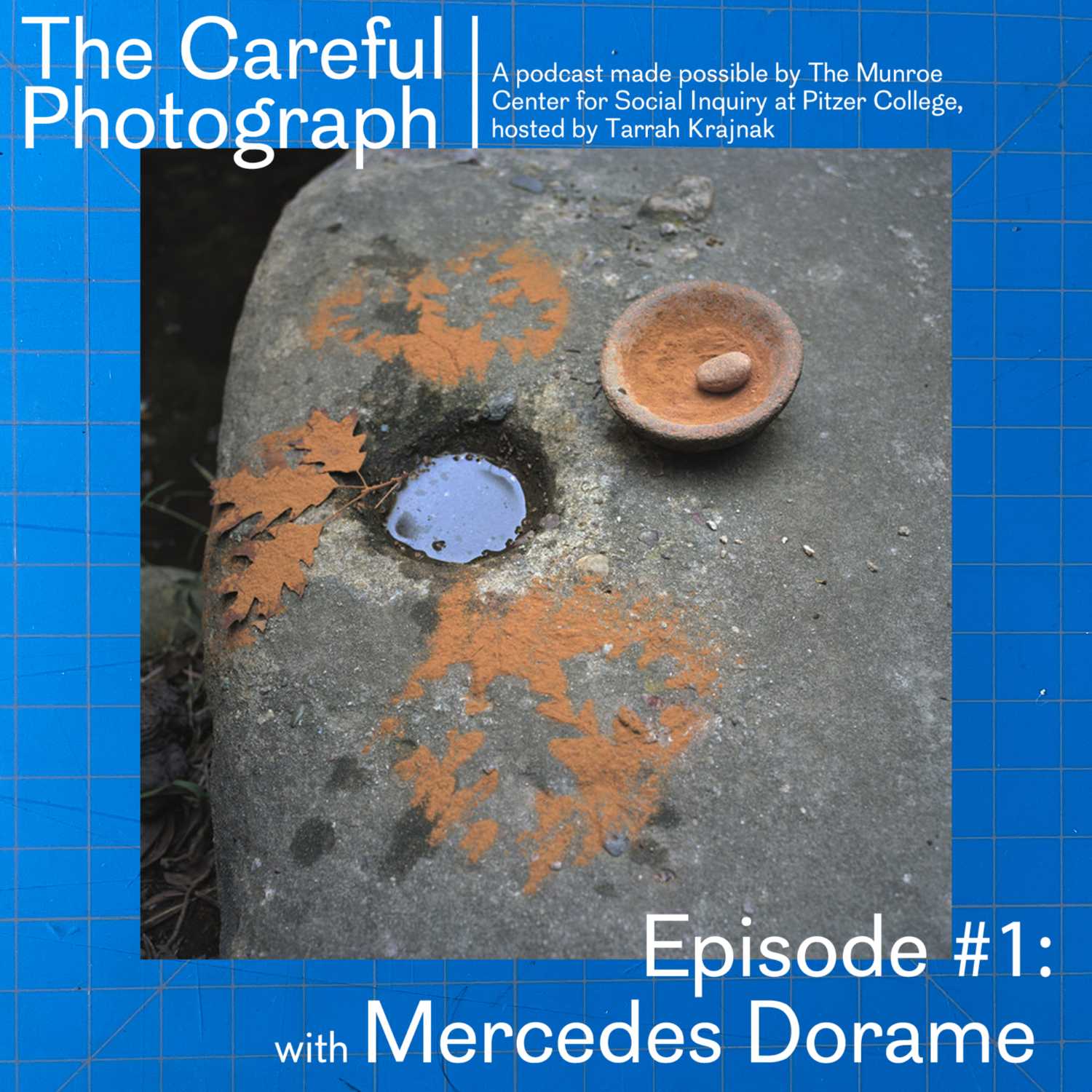The Careful Photograph