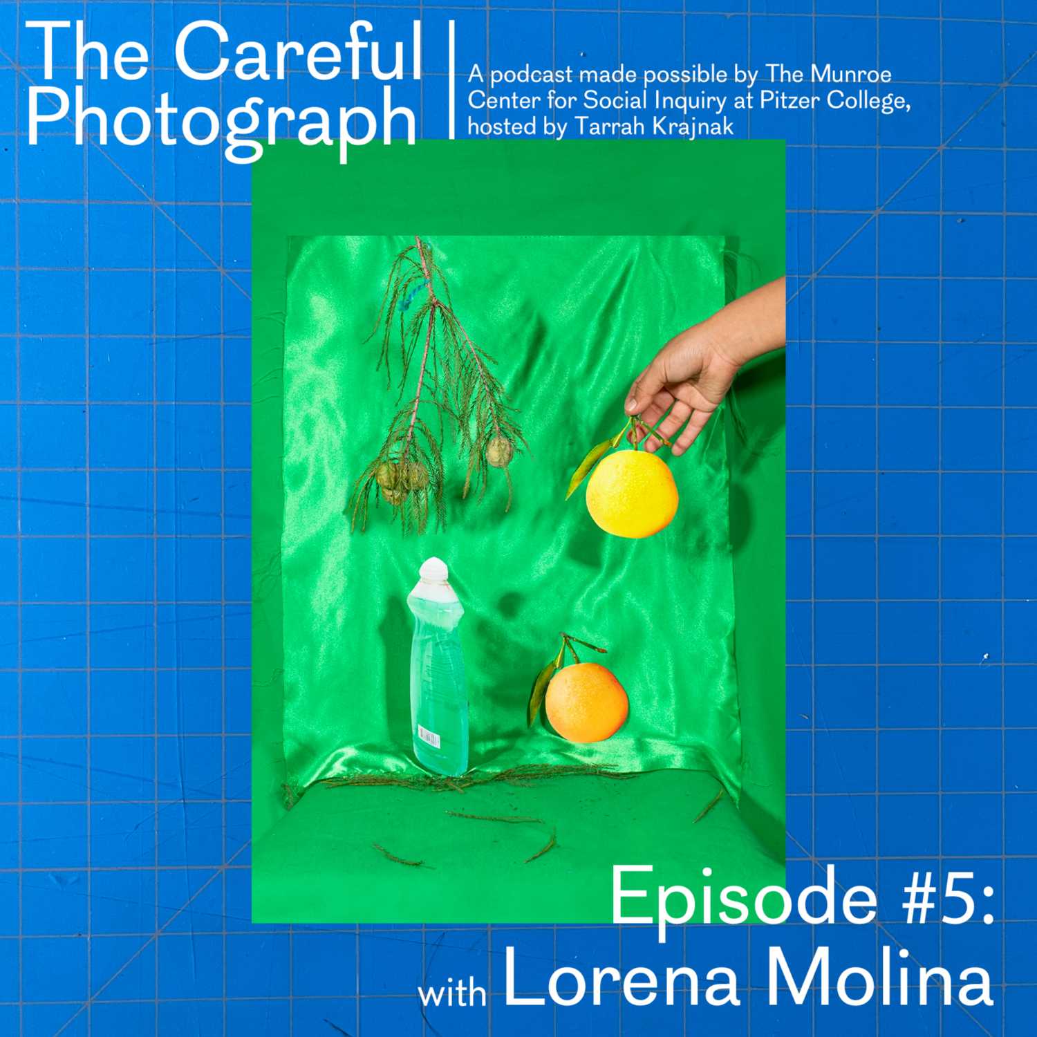 The Careful Photograph