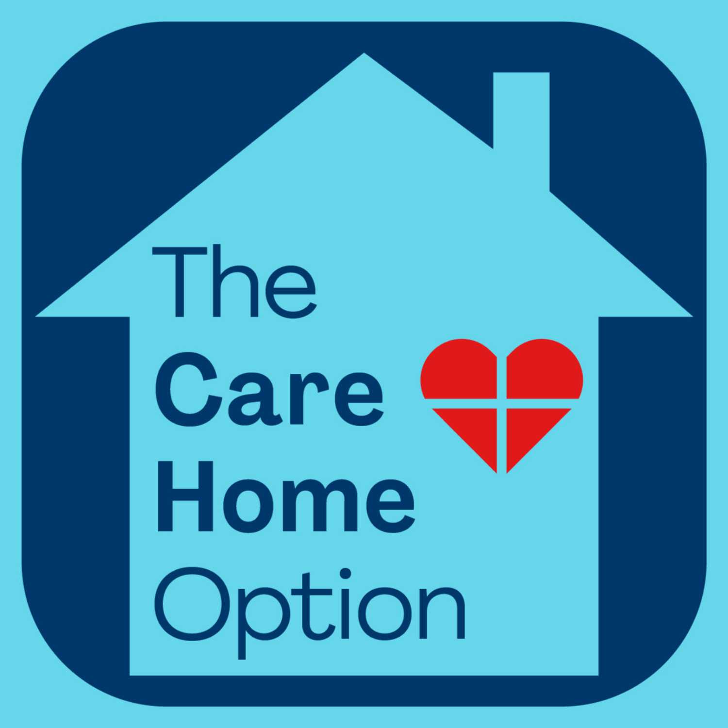 The Care Home Option