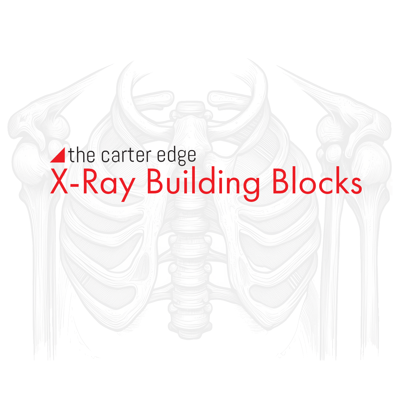 X-Ray Building Blocks by The Carter Edge