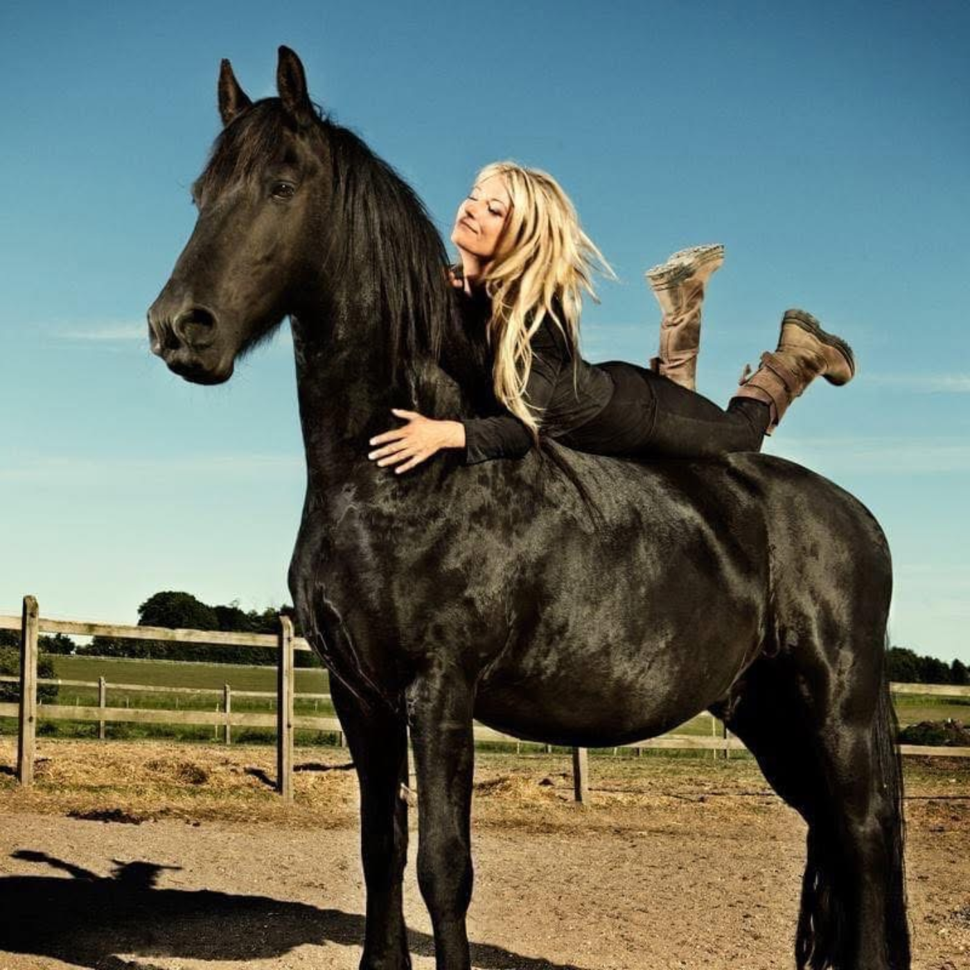 The Centaur