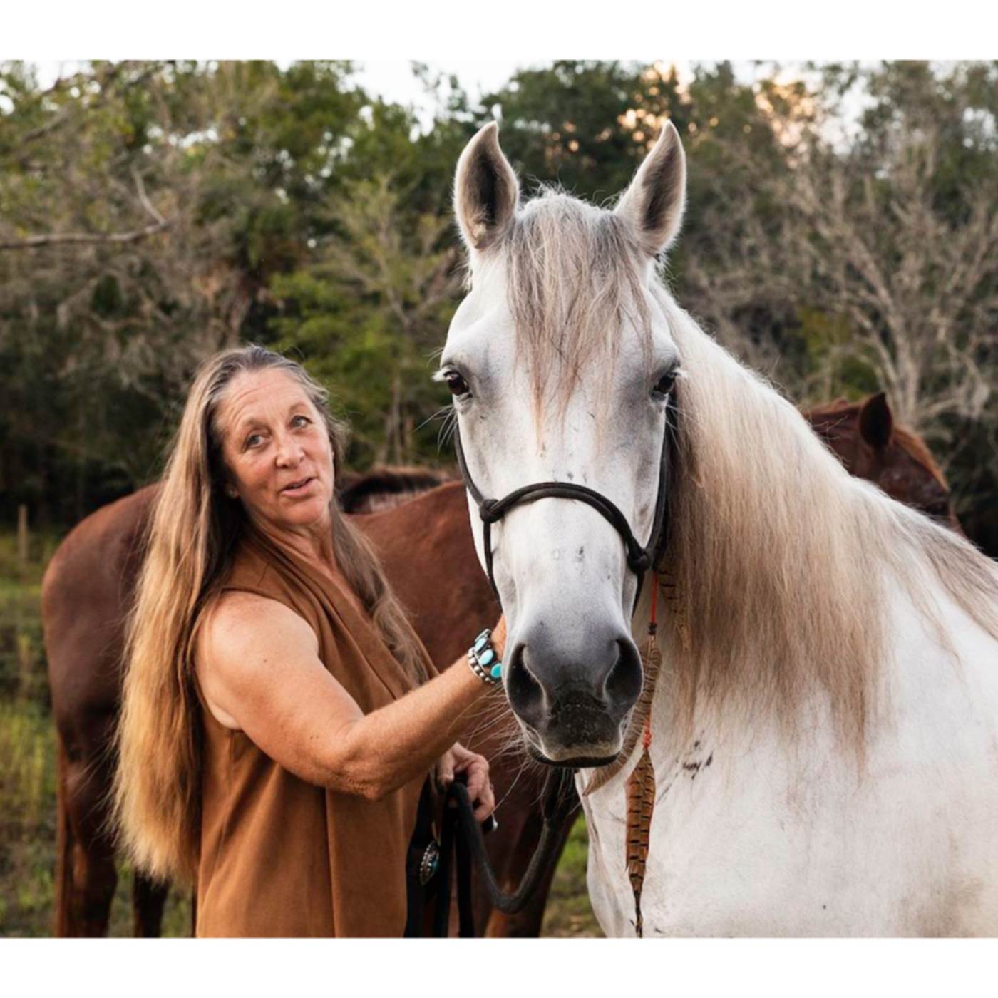 The Centaur