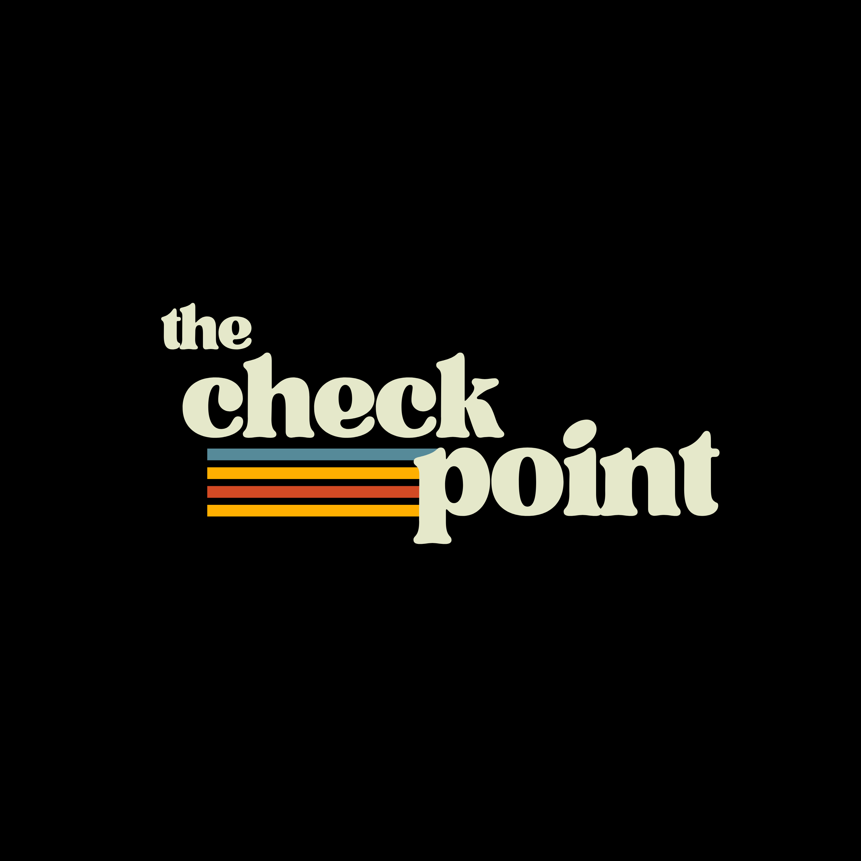 The Checkpoint cover art
