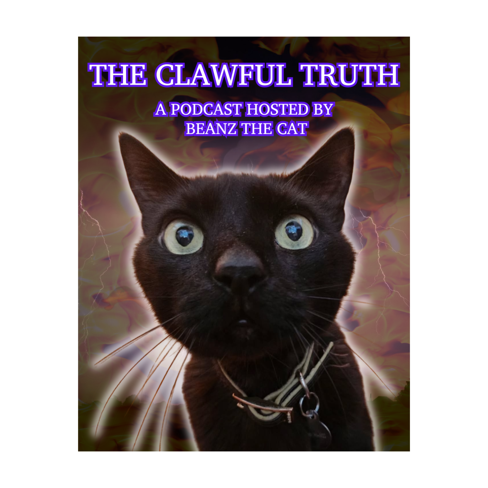 THE CLAWFUL TRUTH WITH BEANZ THE CAT podcast artwork